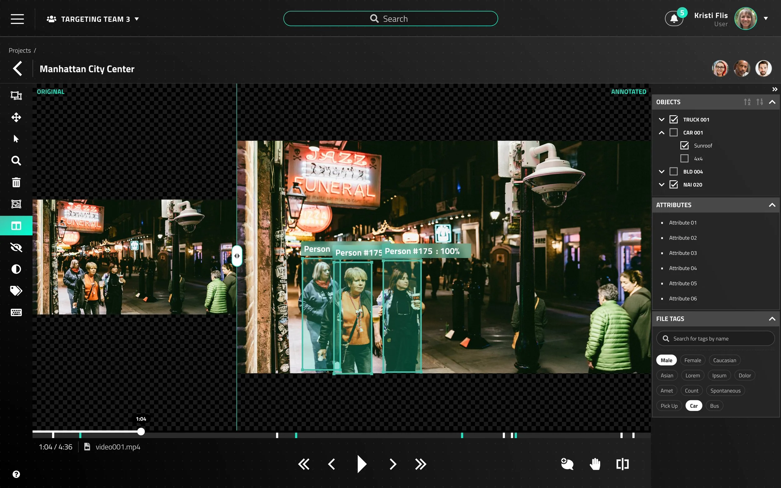 Annotation view - split screen.jpg