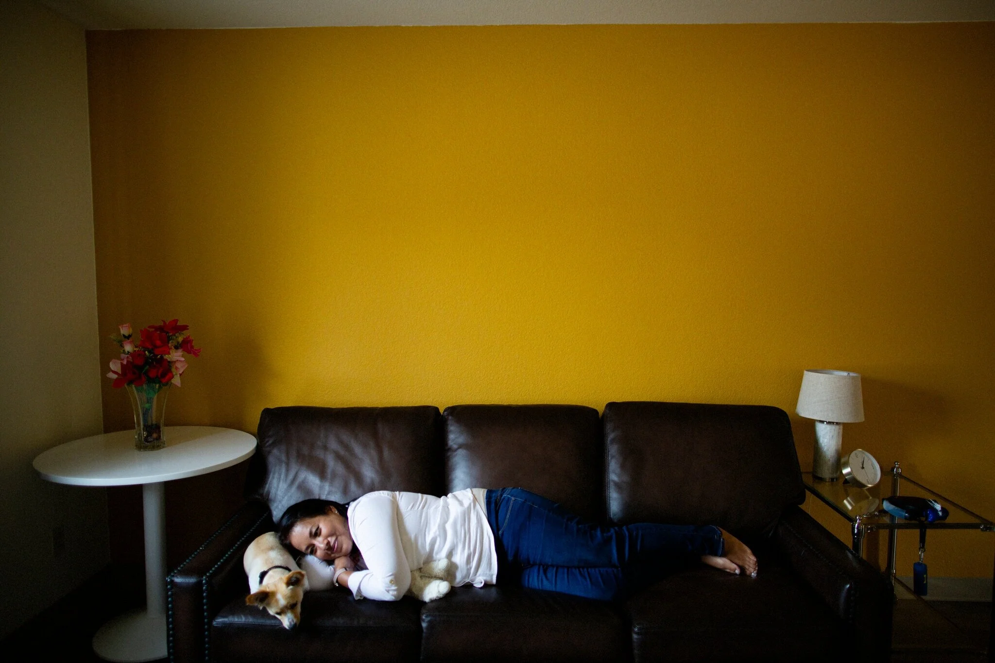 Nilda Palacios, 38, with her dog, Milo, in their Home Free apartment. Therapists helped her understand the relationship between her own traumas and the violent act that led to her imprisonment for 17 years. Credit: Talia Herman for The New York Times