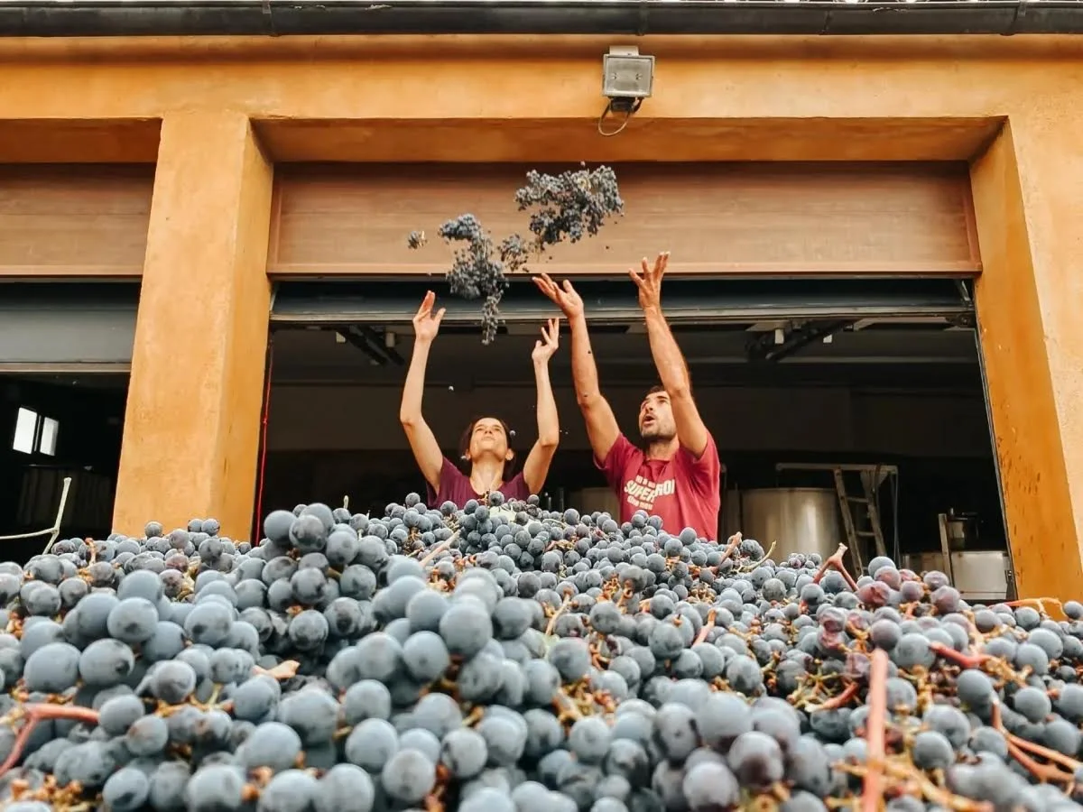 Producer Visit: Anna Galofre of Valldolina
