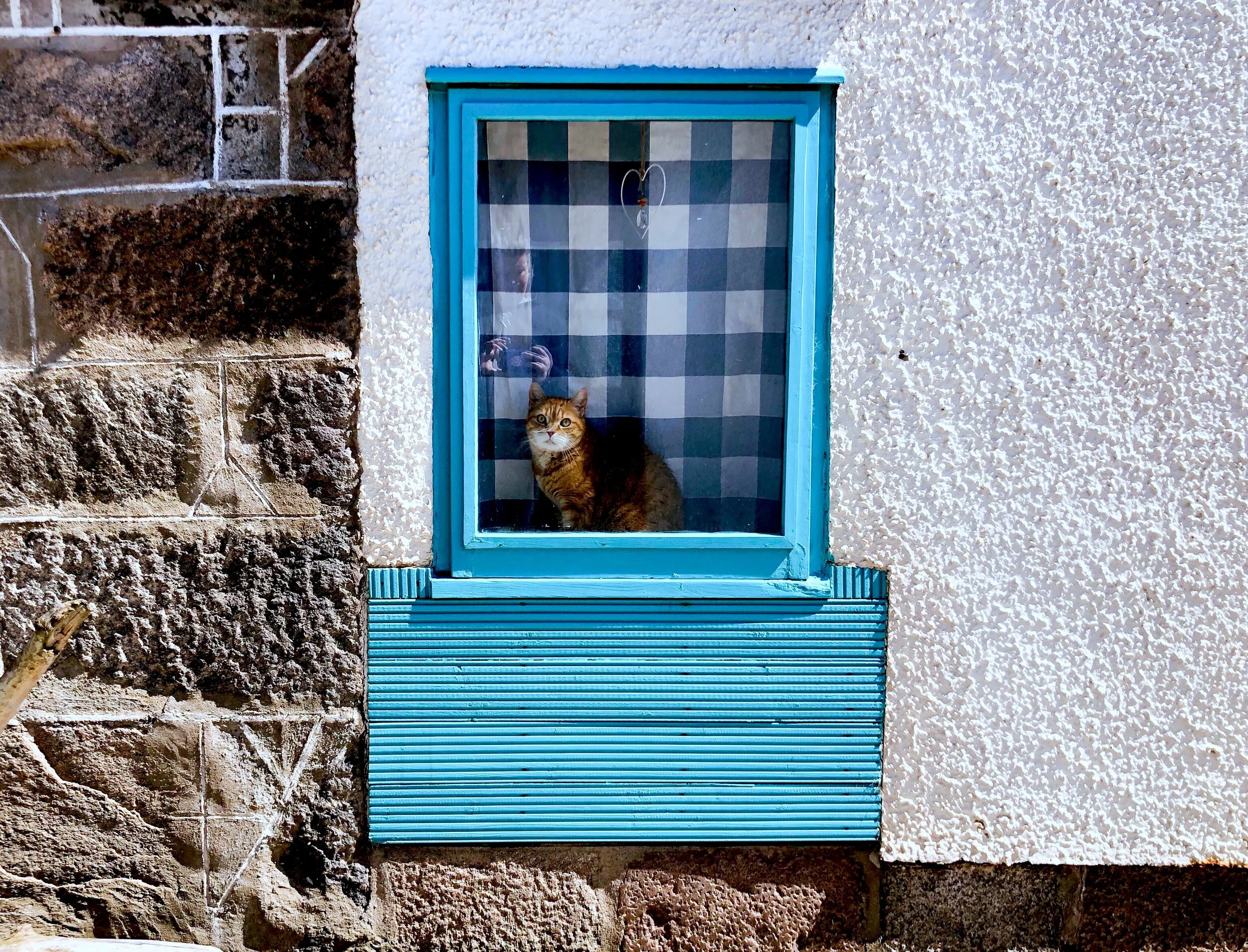 Heading for the Harbour