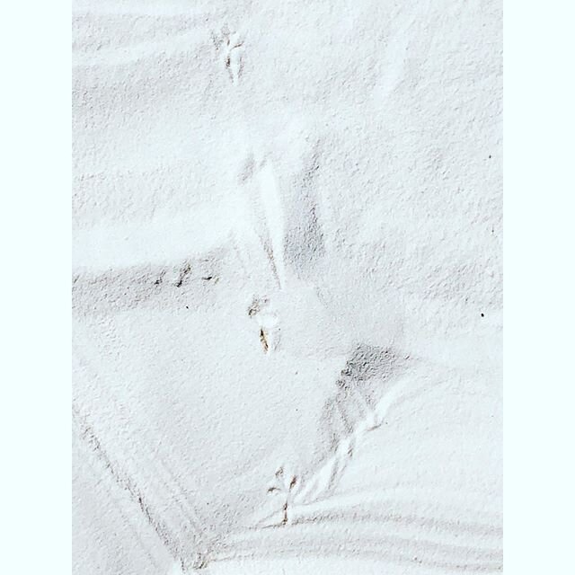 I&rsquo;m so excited about America&rsquo; 62nd (named) National Park.
🗻
I grew up going to White Sands National Monument and the Sierra Madre Mountains and hurling myself down the gypsum dunes like my mum did when she was younger. 🗻
I got to go bac
