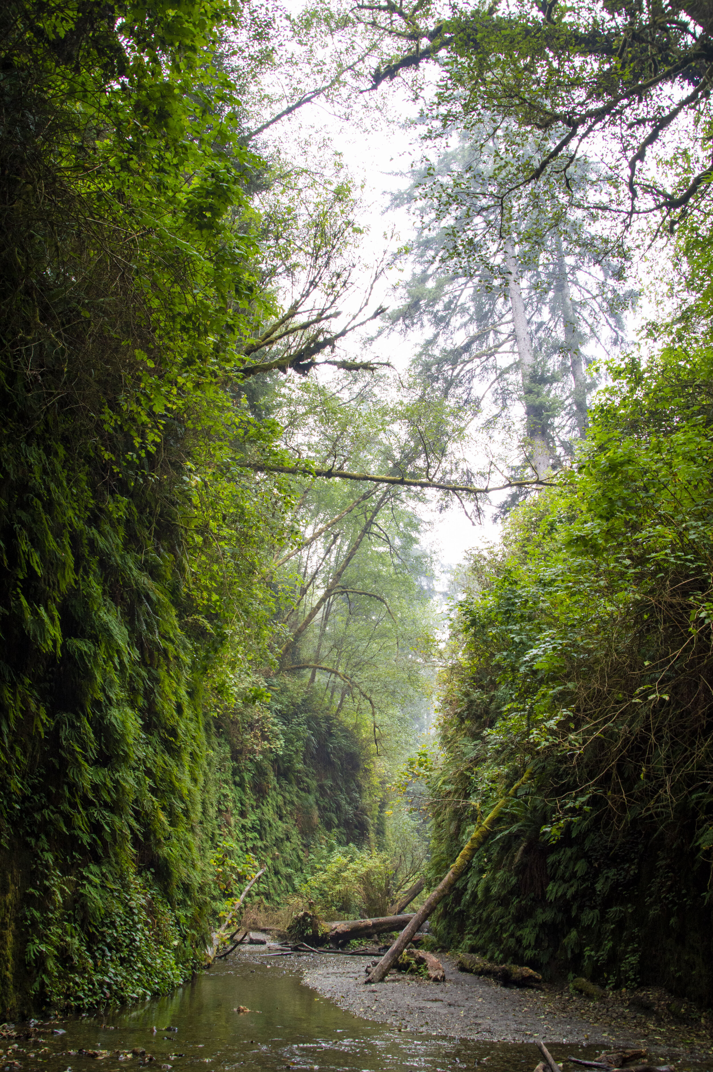 DSC_0067_edited.jpg