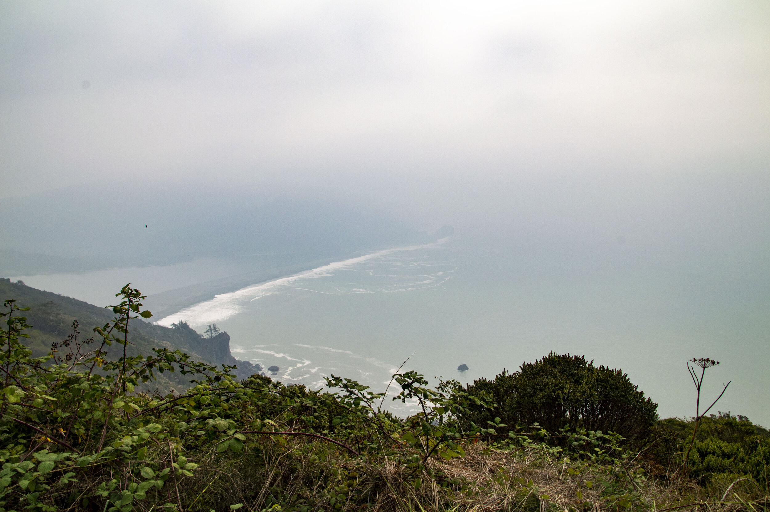 DSC_0108_edited.jpg