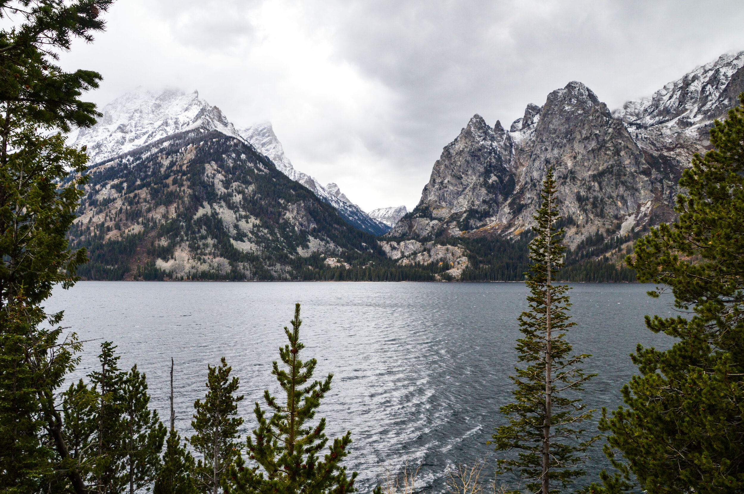 DSC_0408 2_edited.jpg