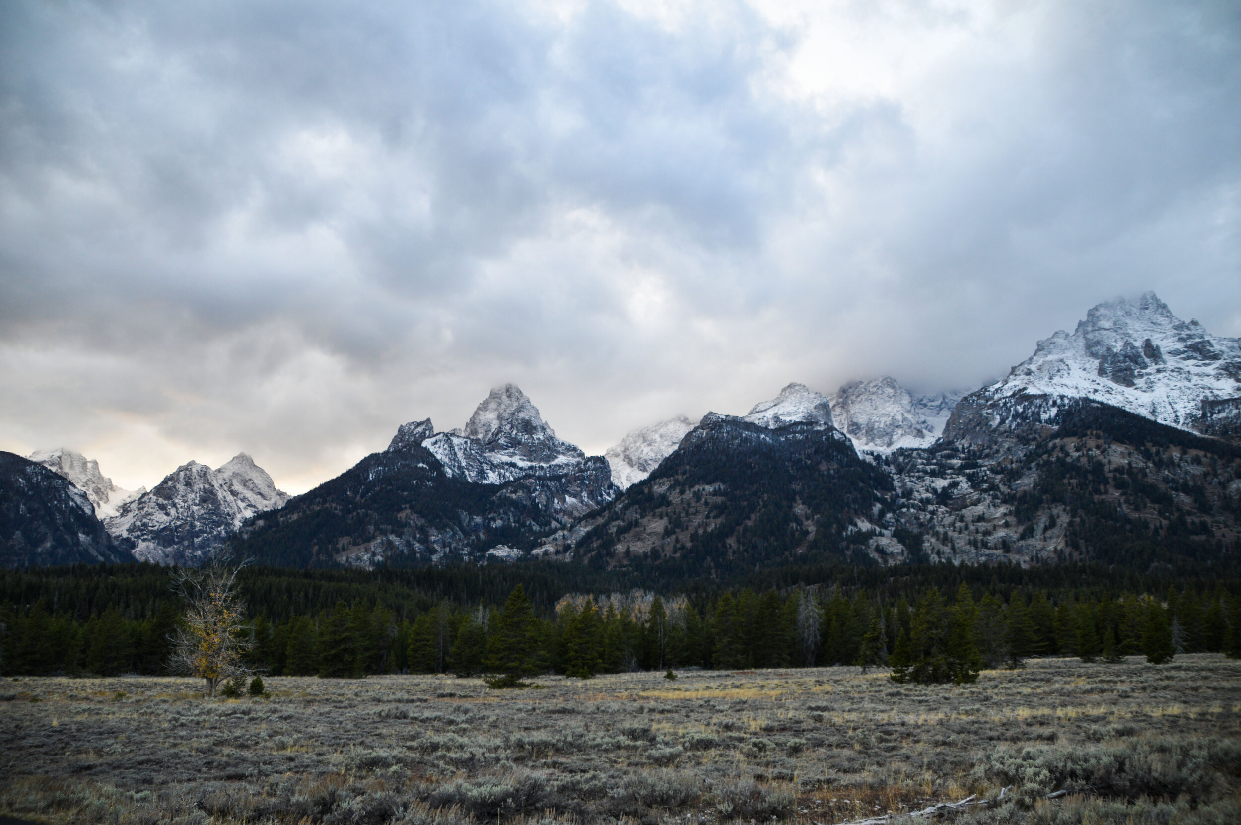 DSC_0433_edited.jpg