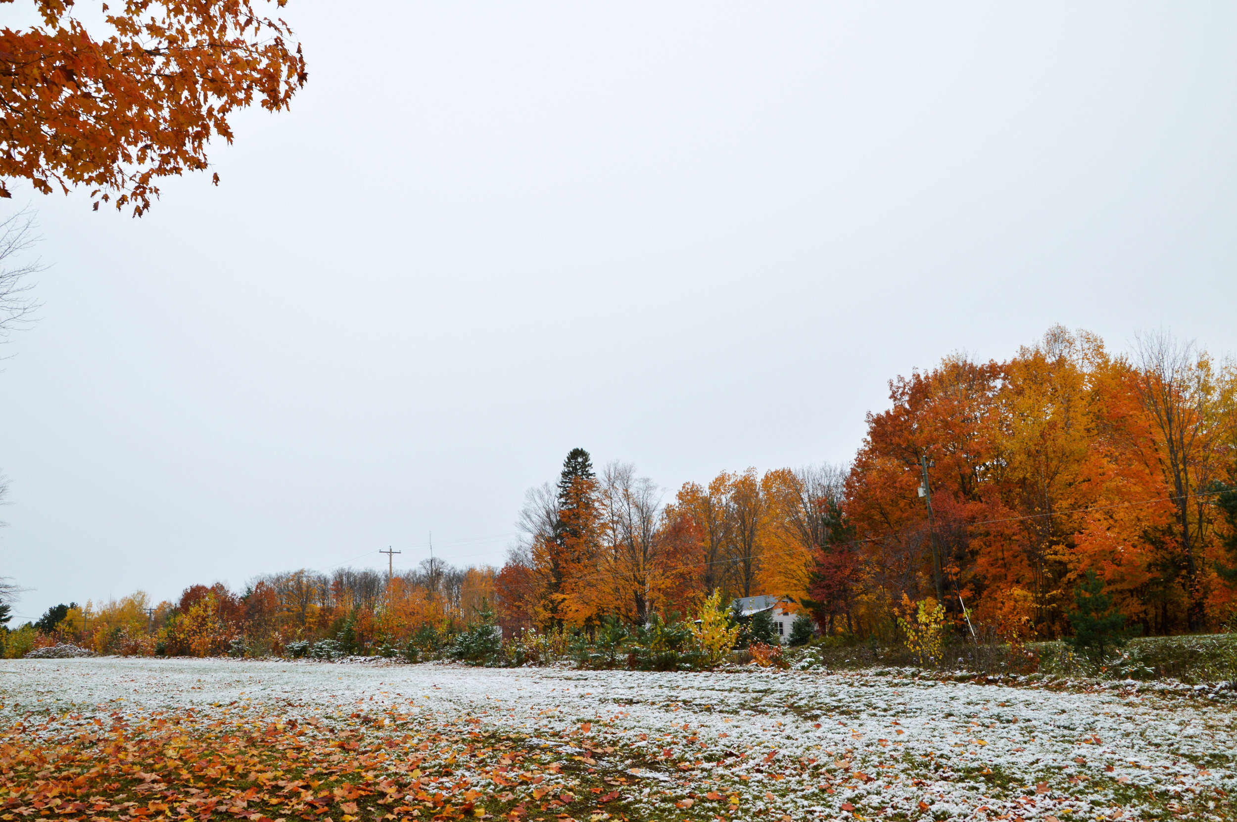 DSC_0076_edited.jpg
