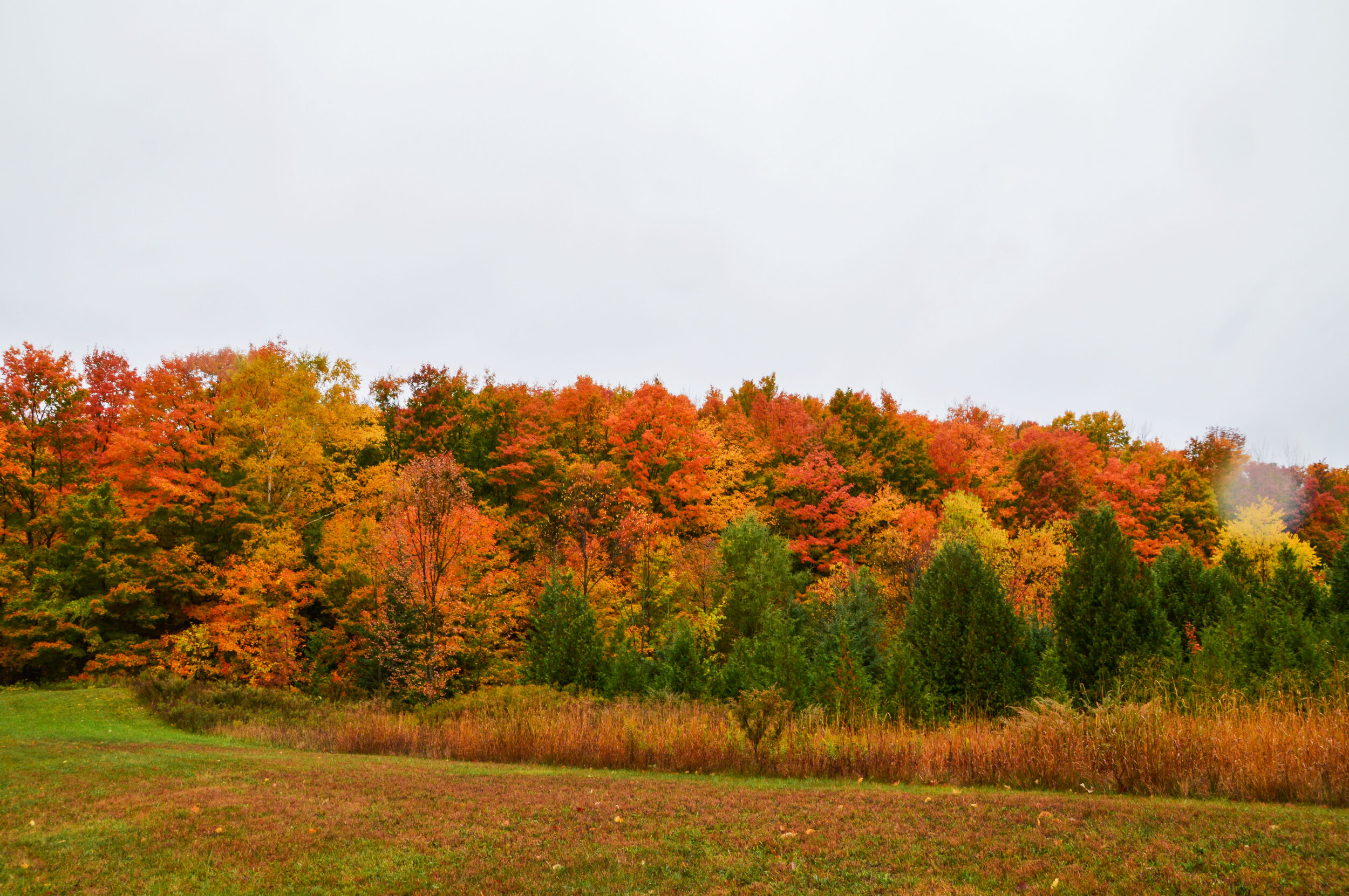DSC_0140_edited.jpg