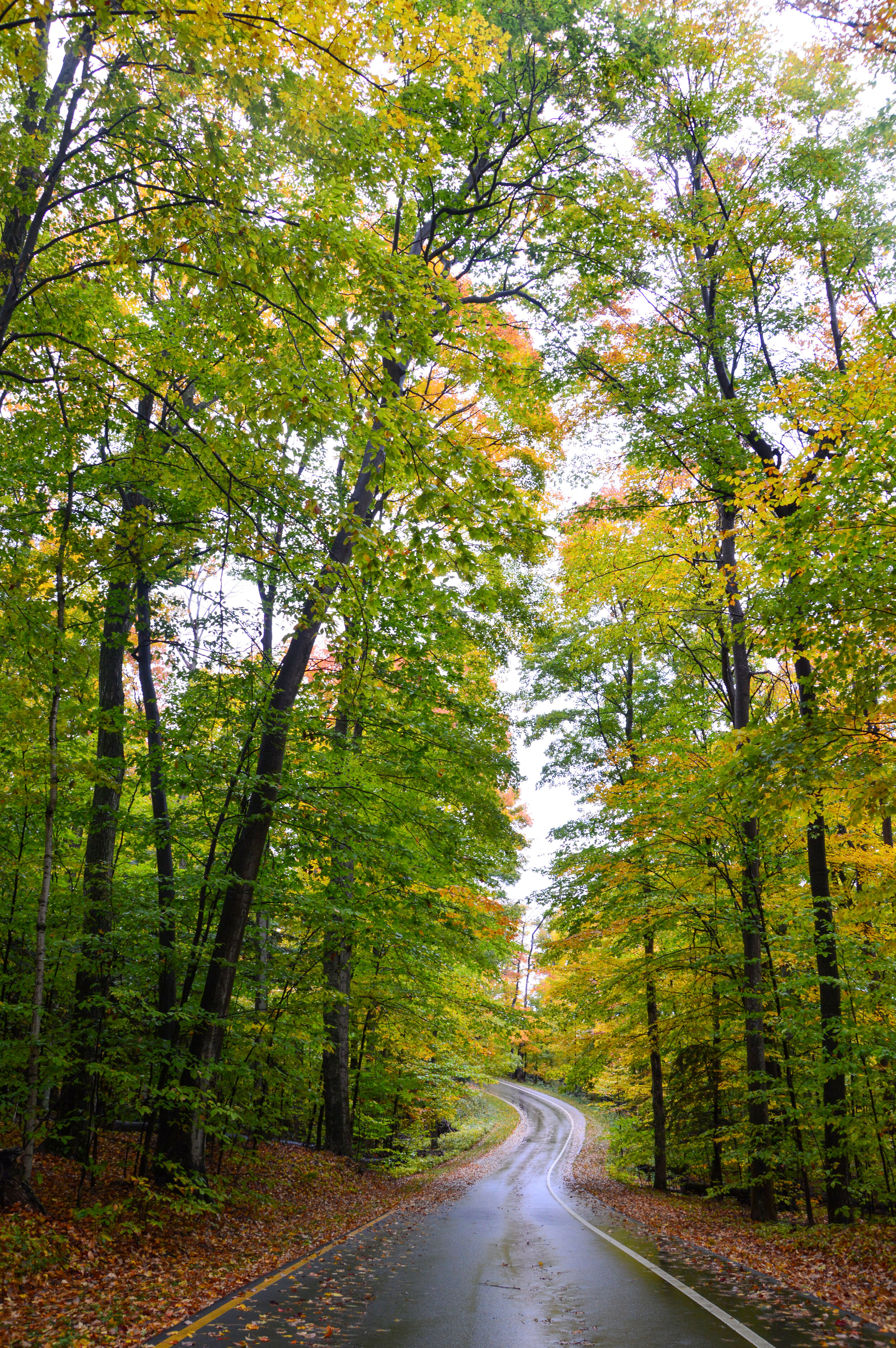 DSC_0149_edited.jpg