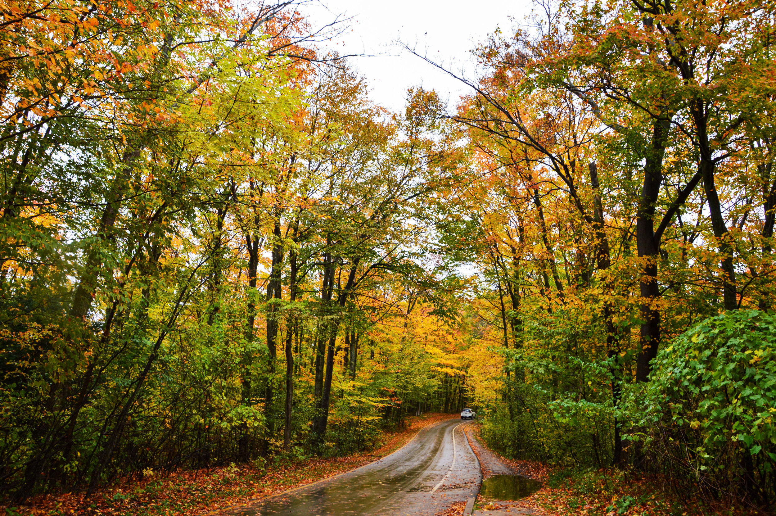 DSC_0160_edited.jpg