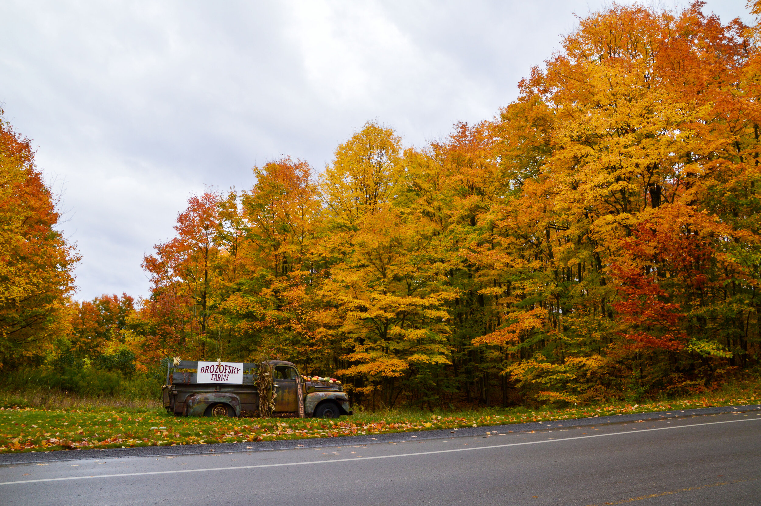 DSC_0250_edited.jpg