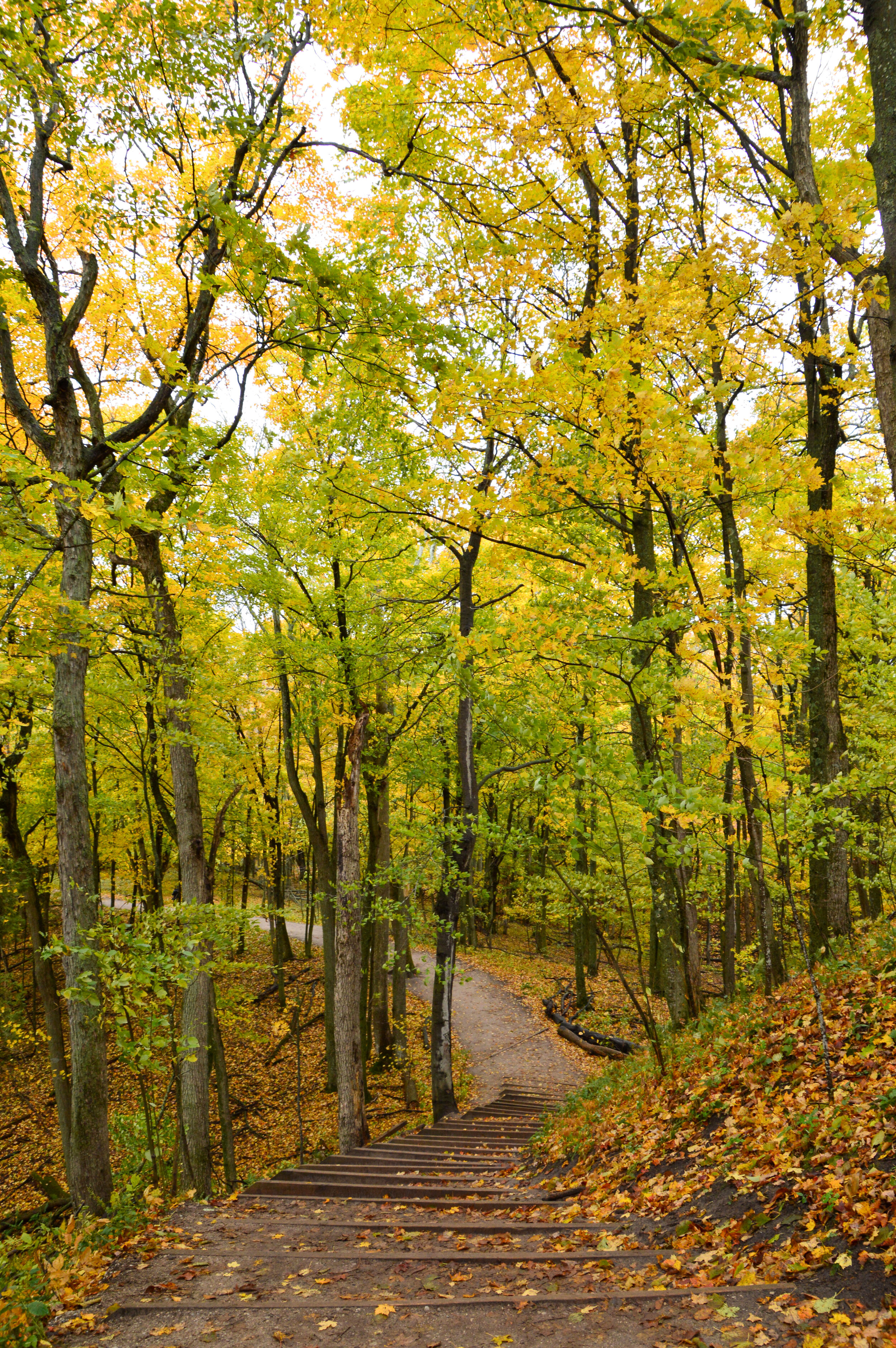 DSC_0221_edited1.jpg