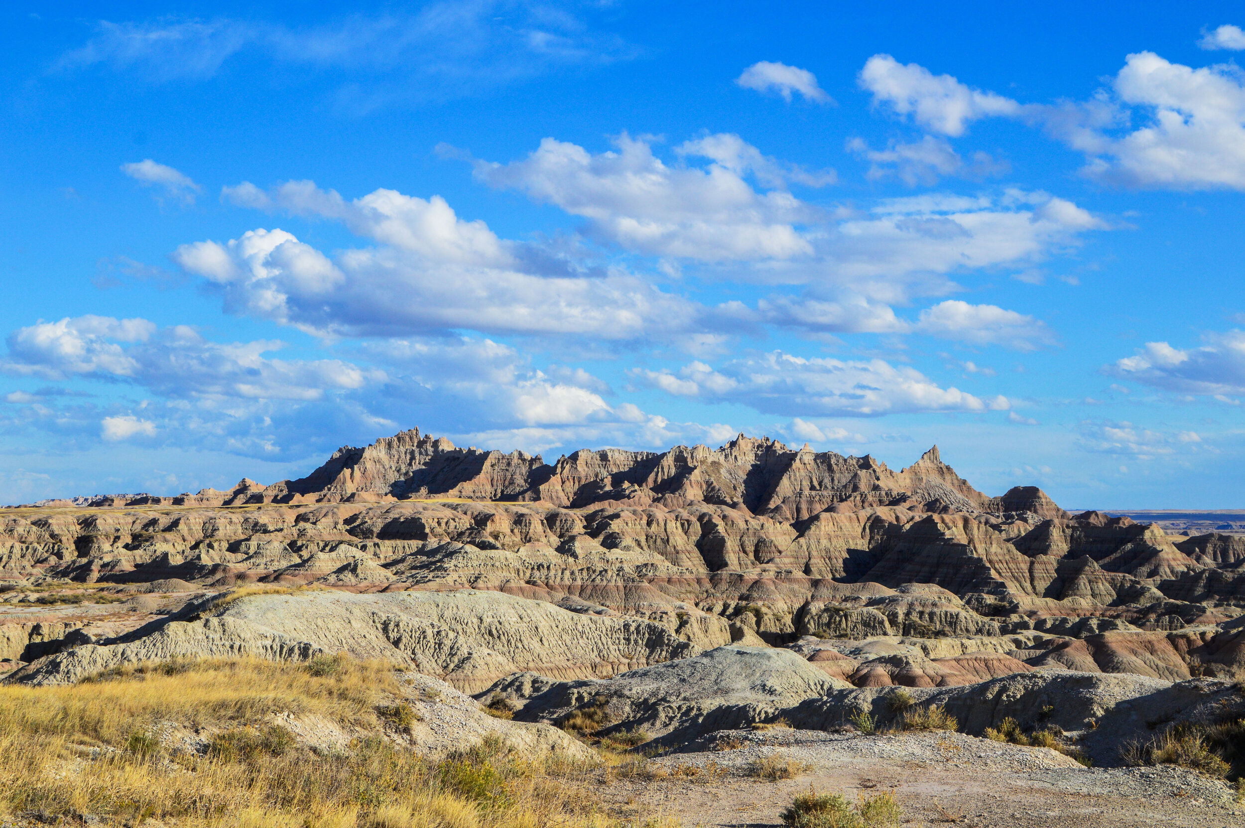 DSC_0554_edited.jpg