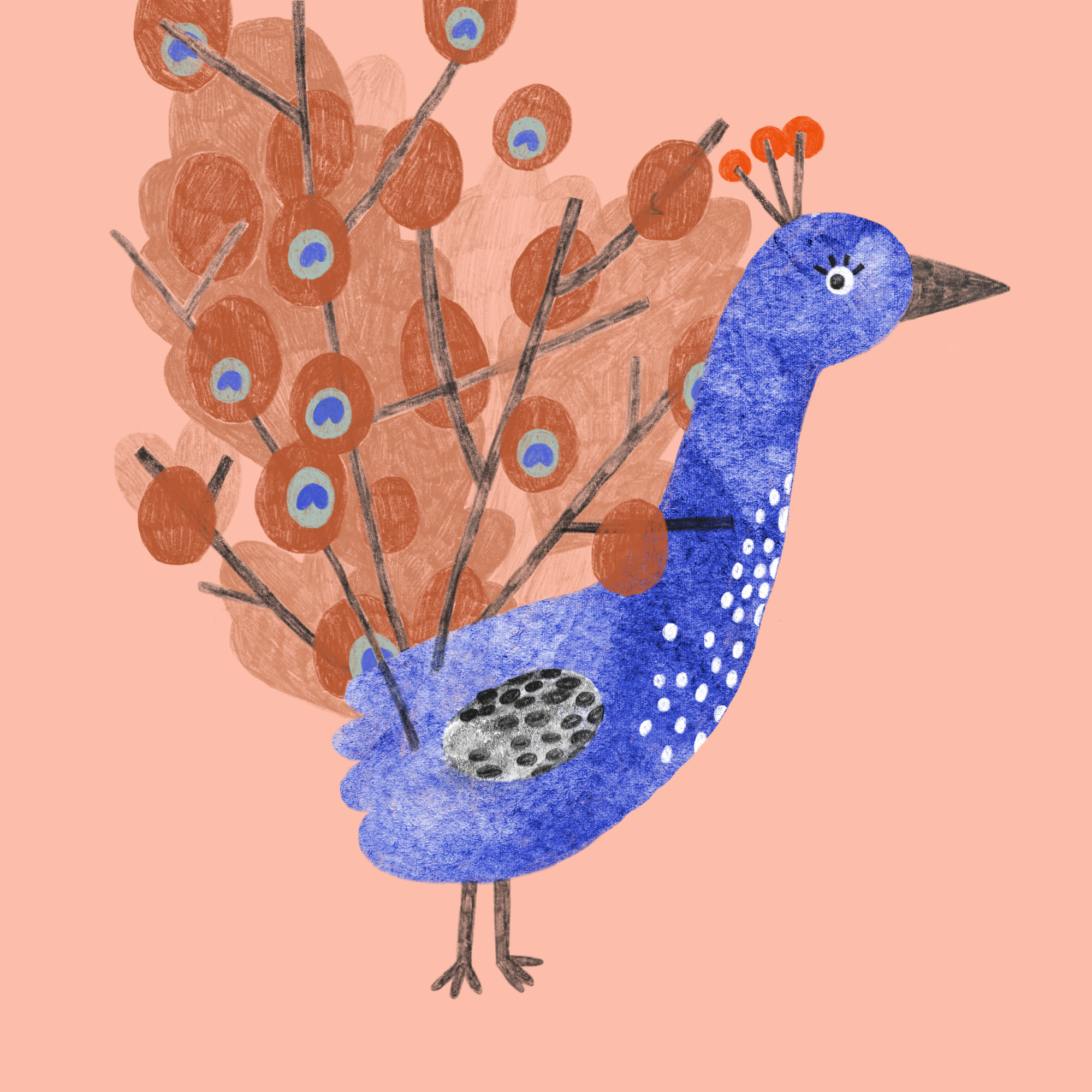 pfau.png