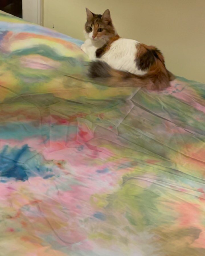 Kitty approved!! Our first custom duvet cover has landed in upstate New York! Order yours today! Just provide your favorite colors or an image for inspiration. Satisfaction guaranteed.🌸🌼💘

$180 full/queen
$220 king 

100 percent cotton 💫

#future