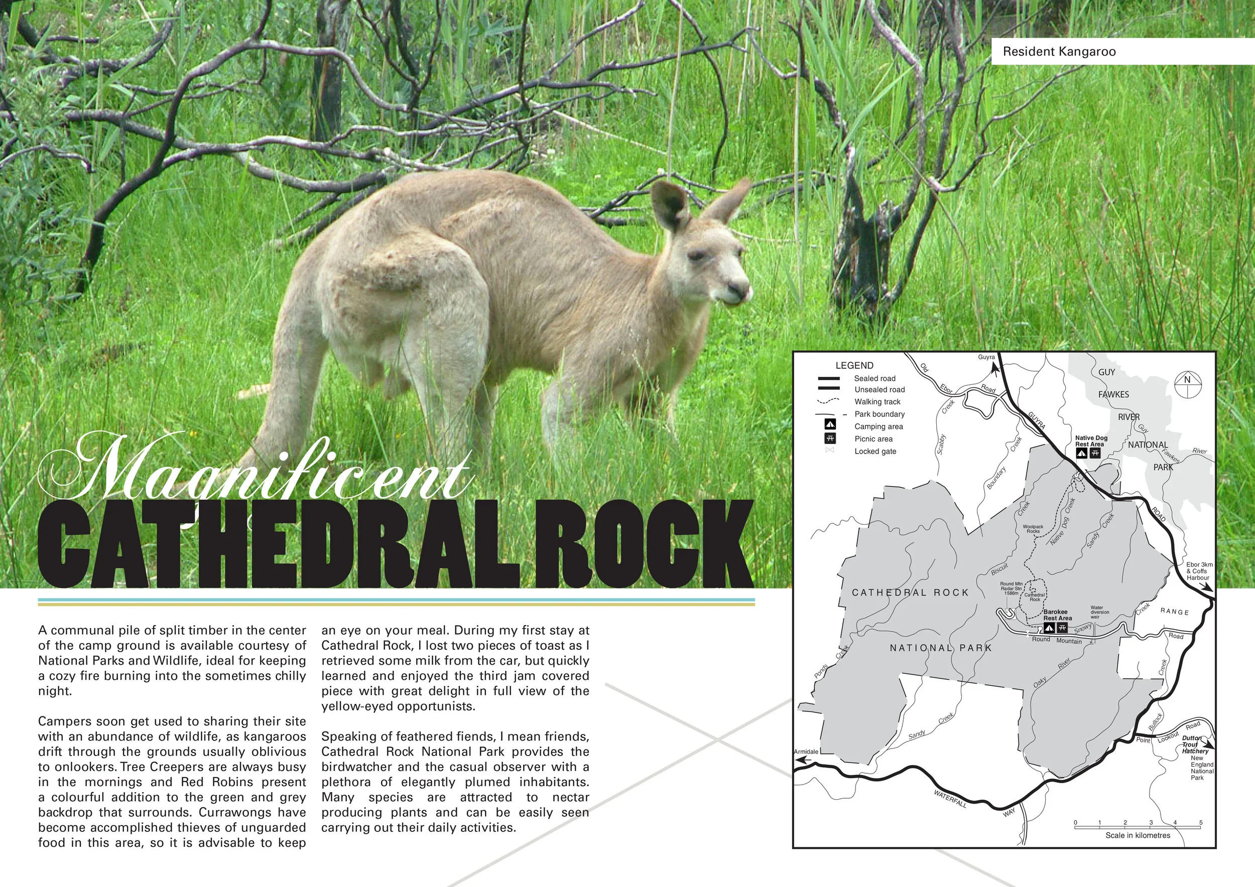 Magnificent Cathedral Rock-2.jpg