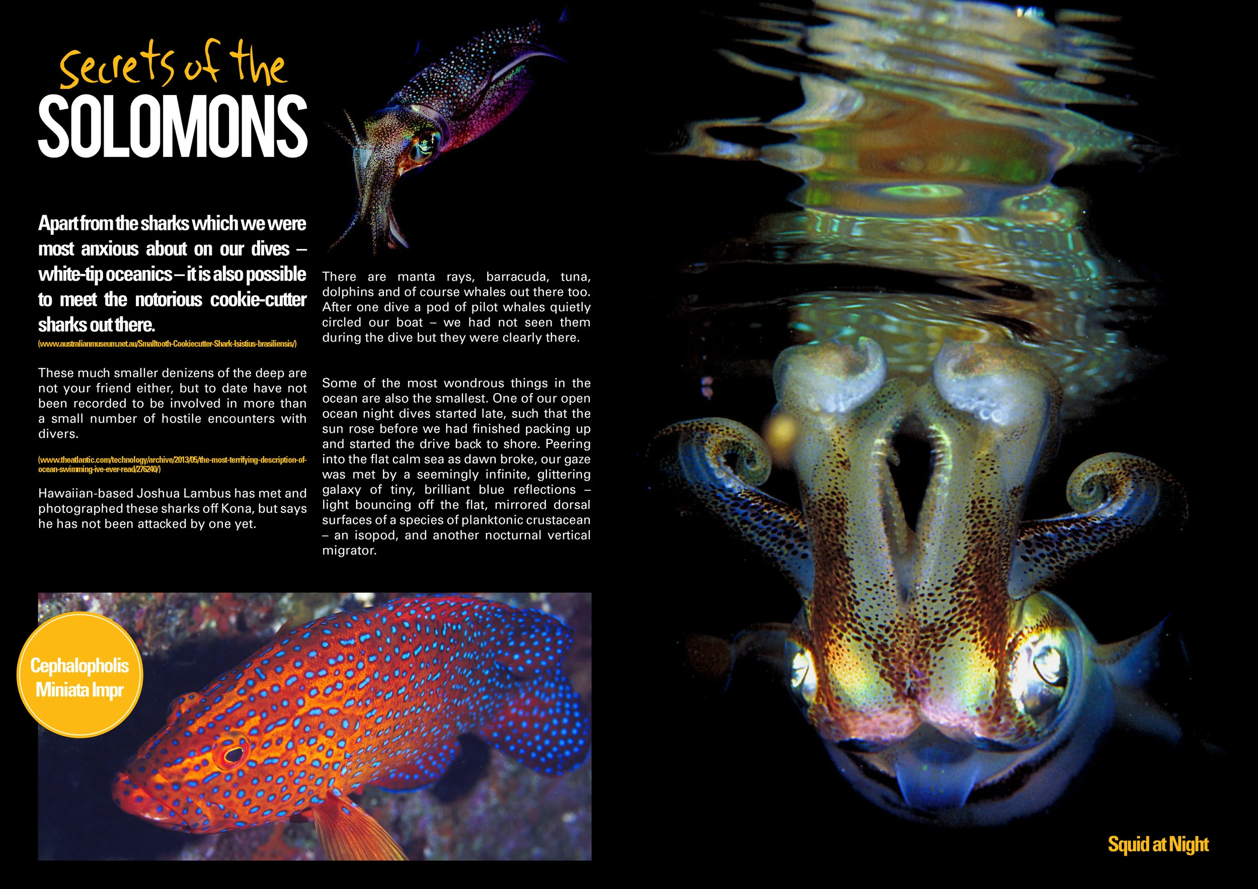 SecretsoftheSolomons-2.jpg