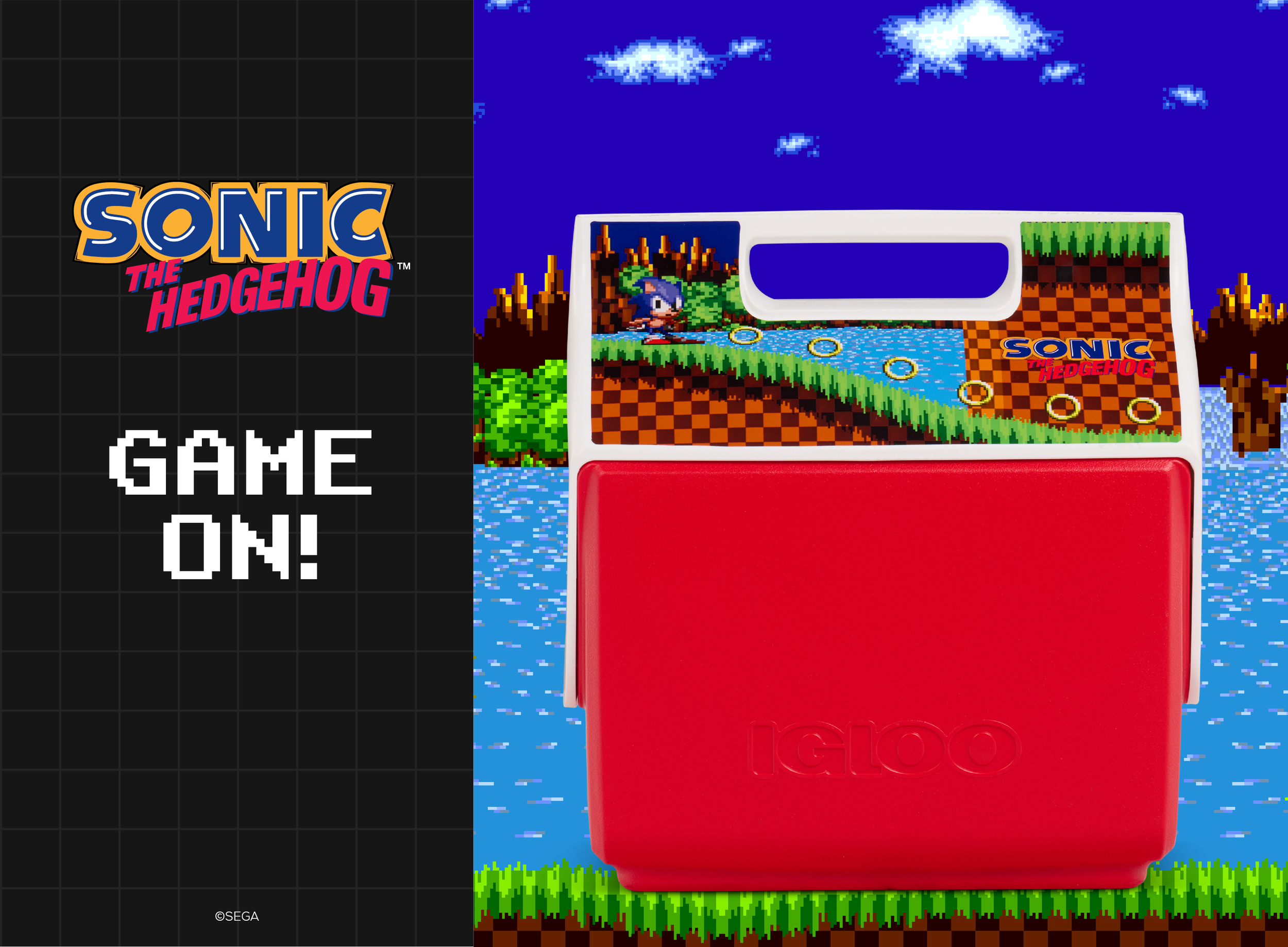 SONIC_NATIVE_V11_Email Hero_1360x1000.png