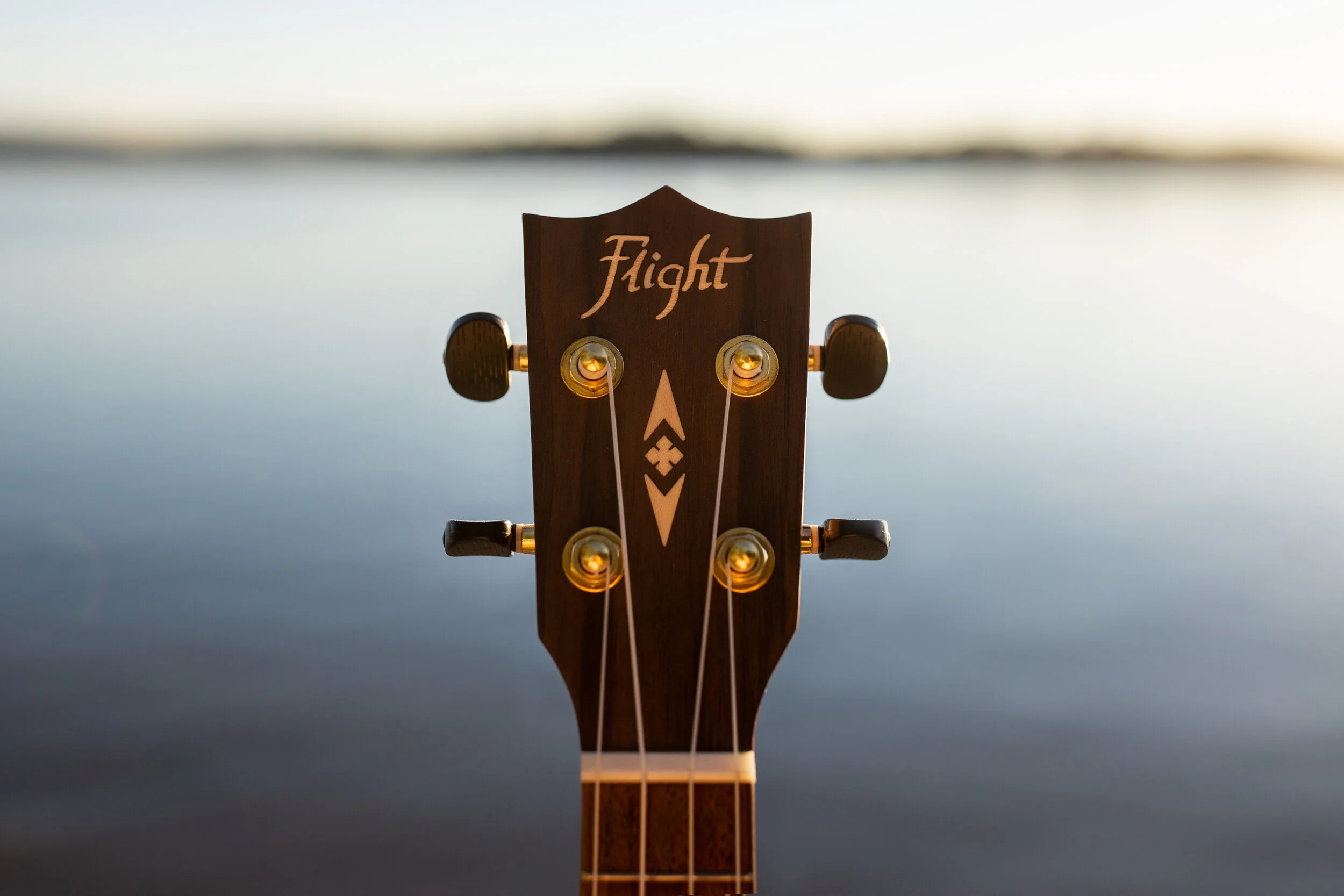 flight-5.jpg