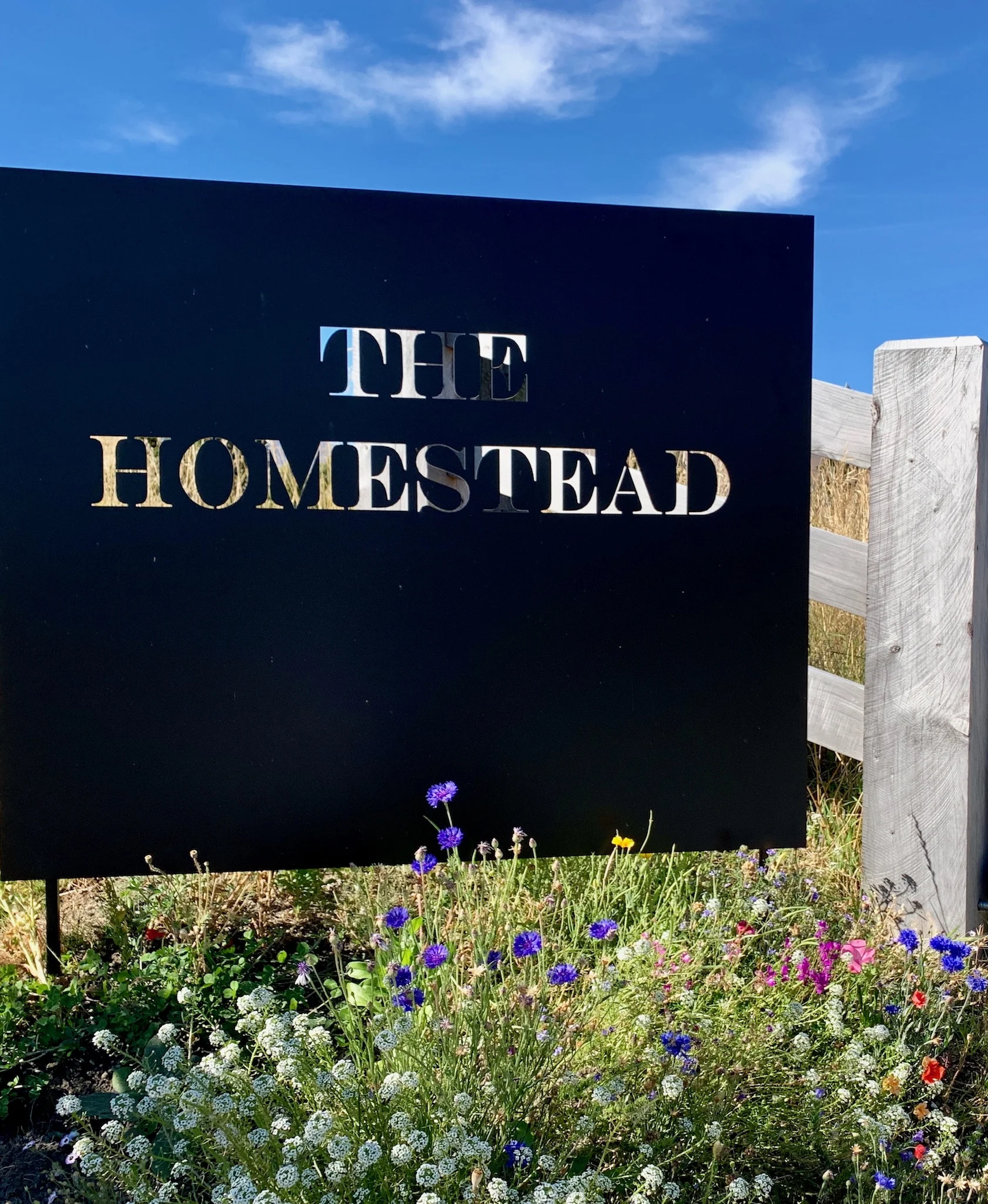 The entrance road used to be the landing strip for the farm, and through spring and summer wild flowers lead you down towards Lake Hayes.
