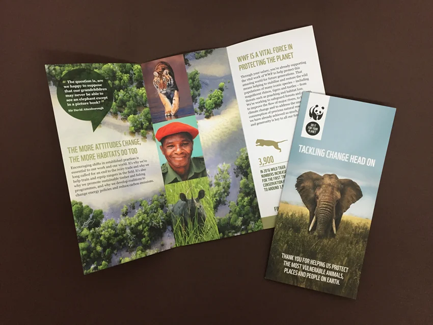 wwf-campaign.jpeg