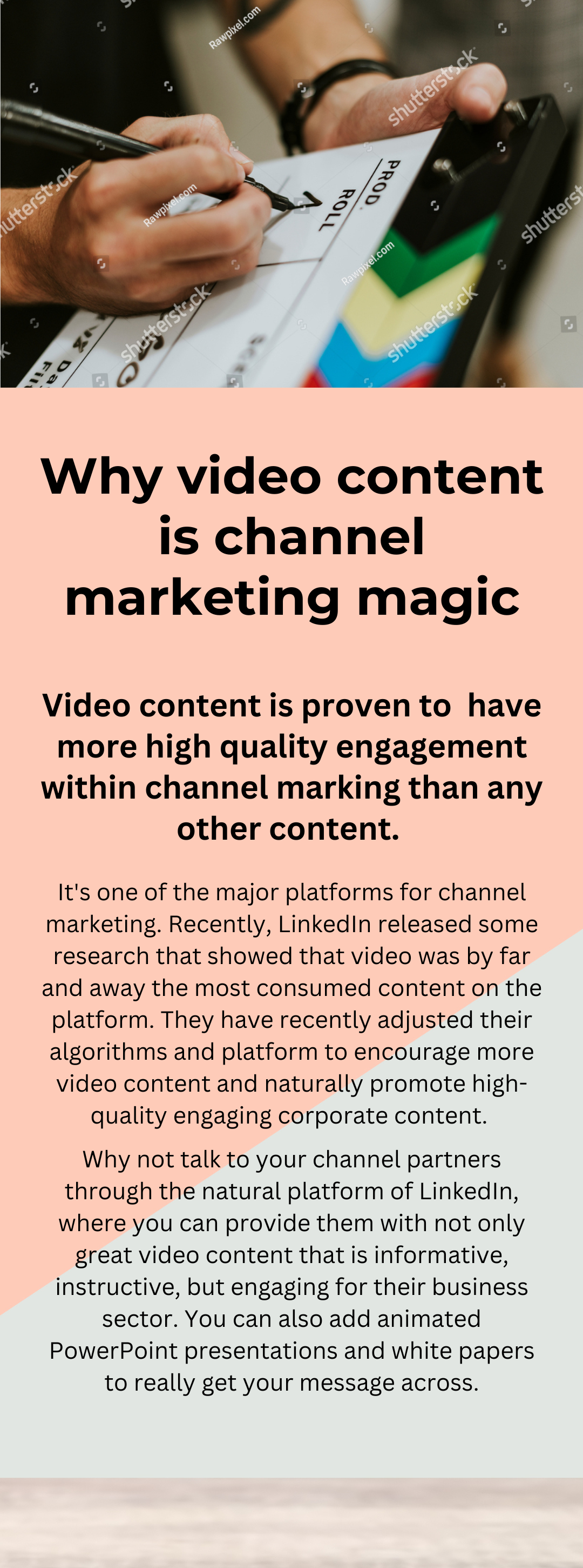 WF WEB 2023 (11).png