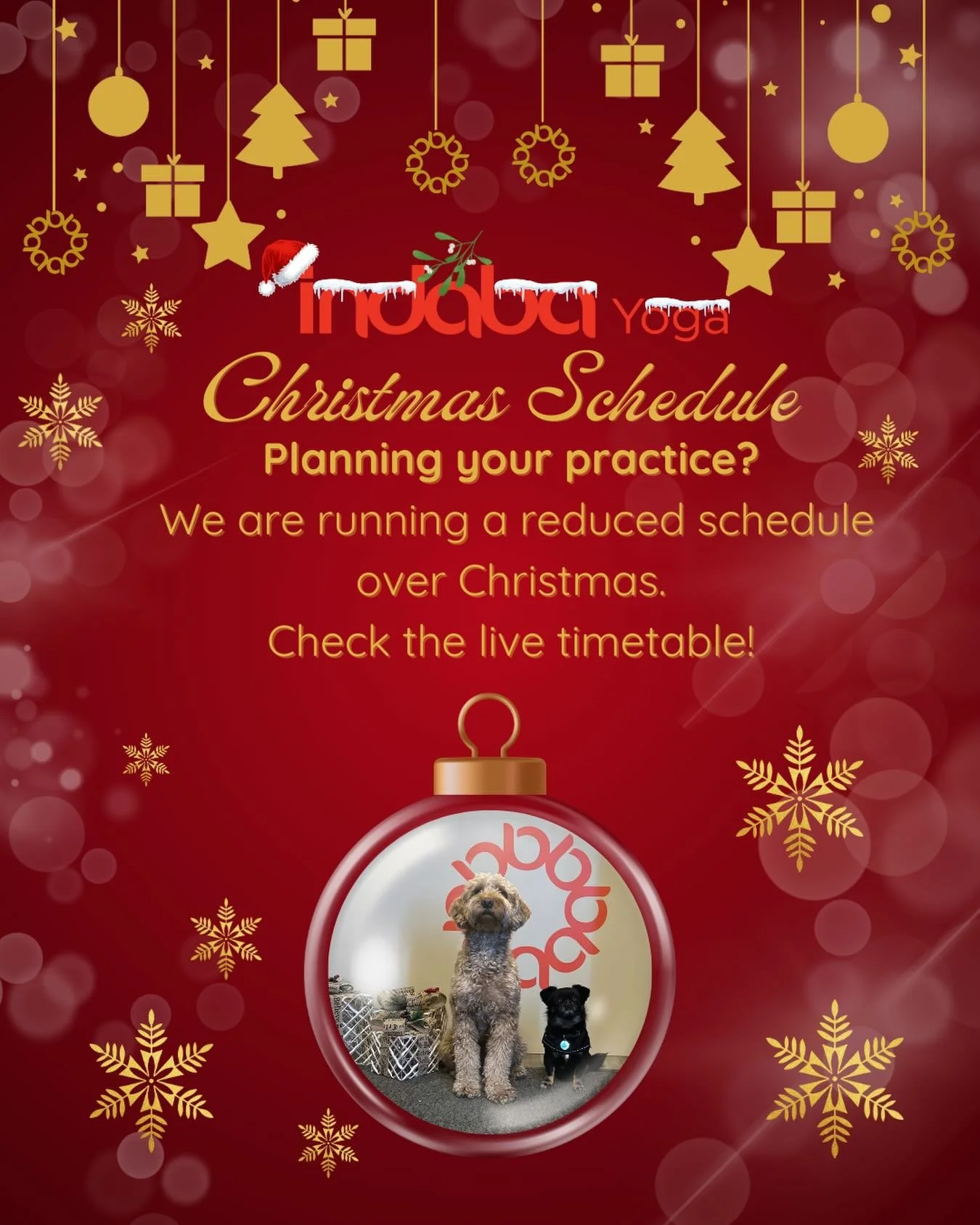 The festive season invites a different rhythm ✨
Our studio timetable will be reduced over Christmas, so do check the live schedule for updated class times.

For slower mornings, cosy evenings, or days that don&rsquo;t go to plan, our livestream an