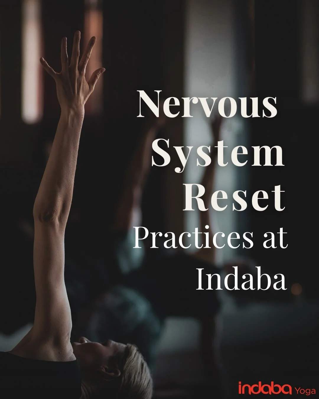 Yoga can be experienced in many ways.
Some practices build heat and momentum. Others create space.

Throughout the week at Indaba, our teachers guide classes where the pace slows, the breath becomes central, and time is given for integration.

These 