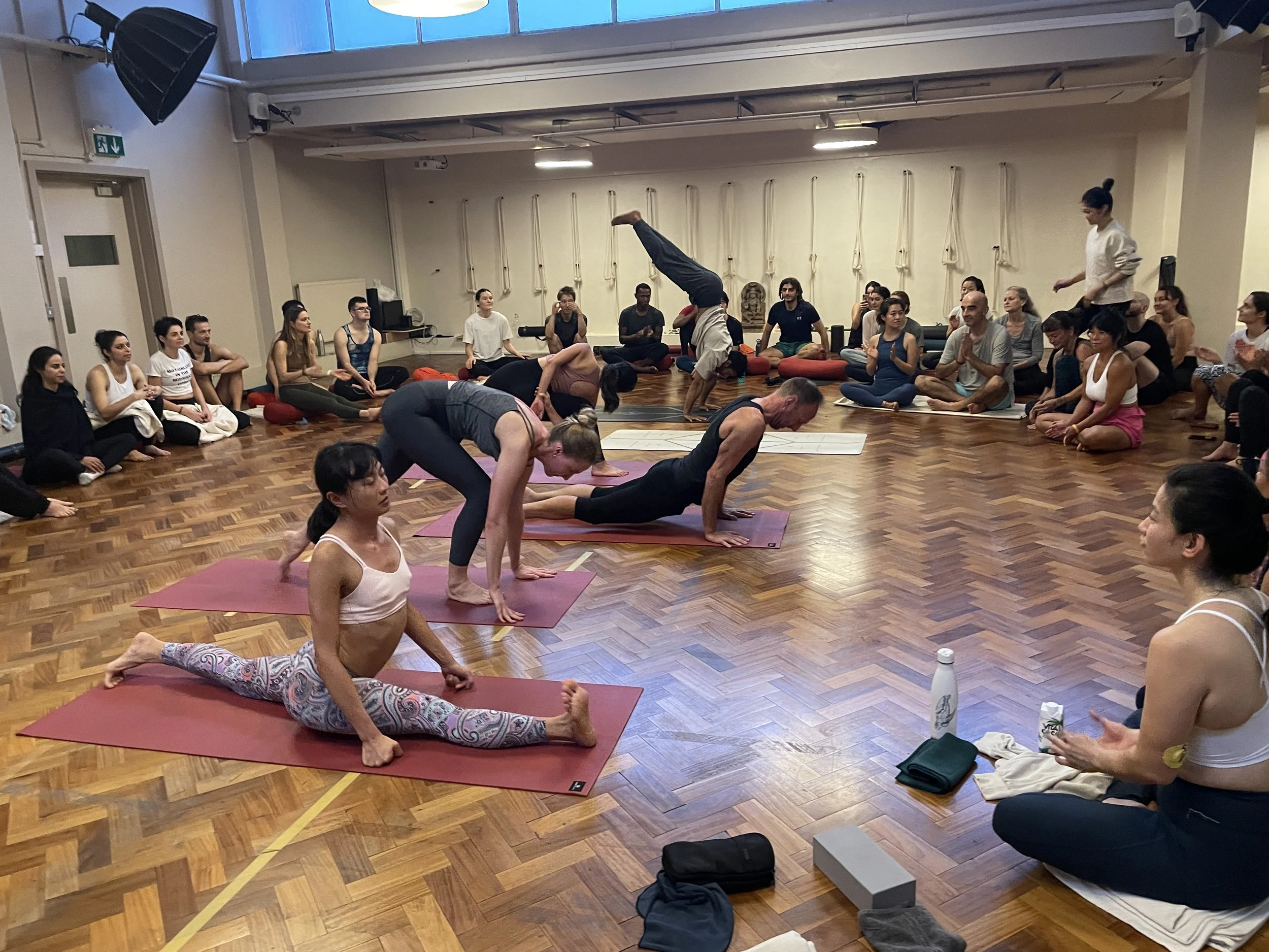 Dharma Yoga Maha Sadhana (Great Practice) with Emi Tull