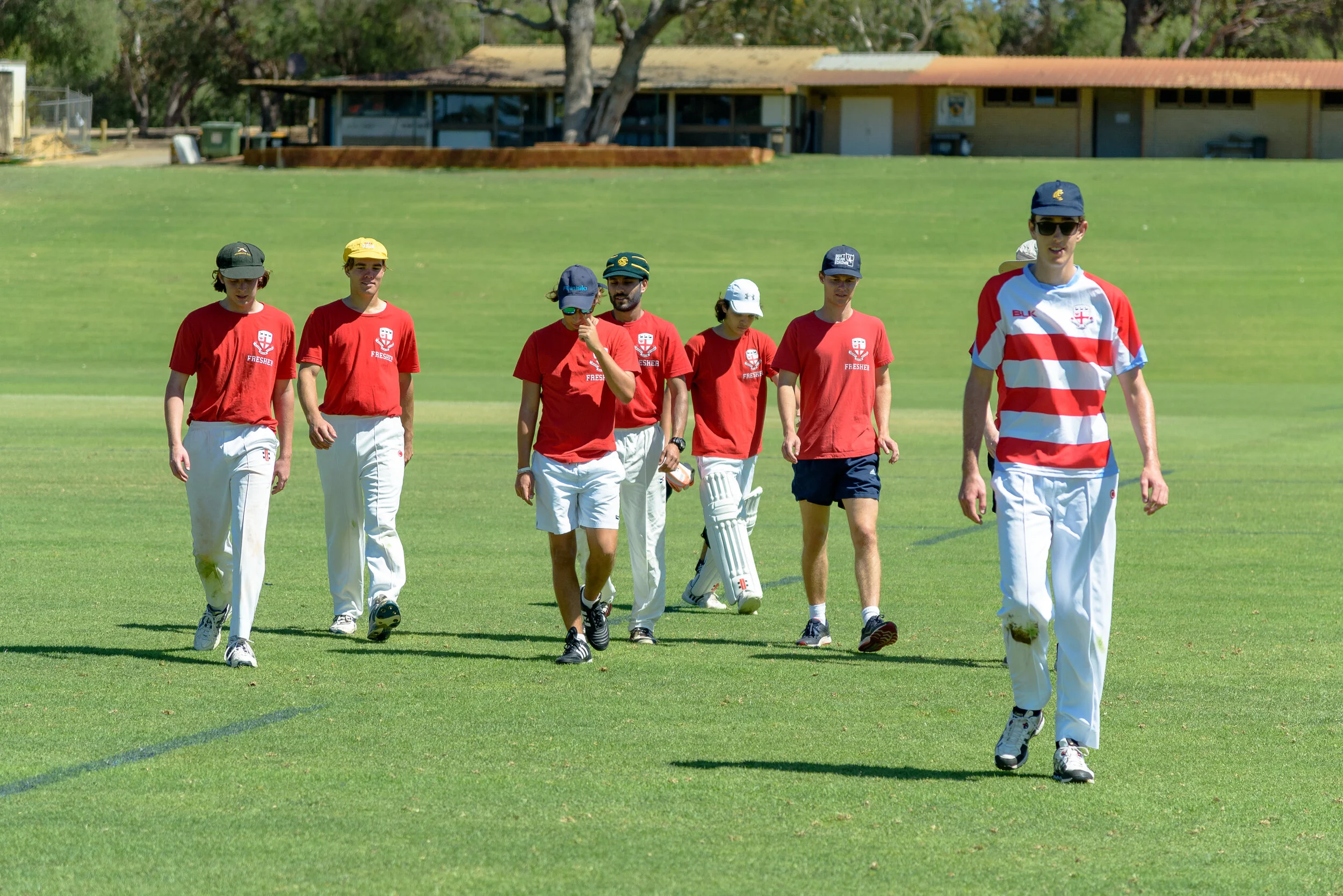 College vs. Georgians Sport