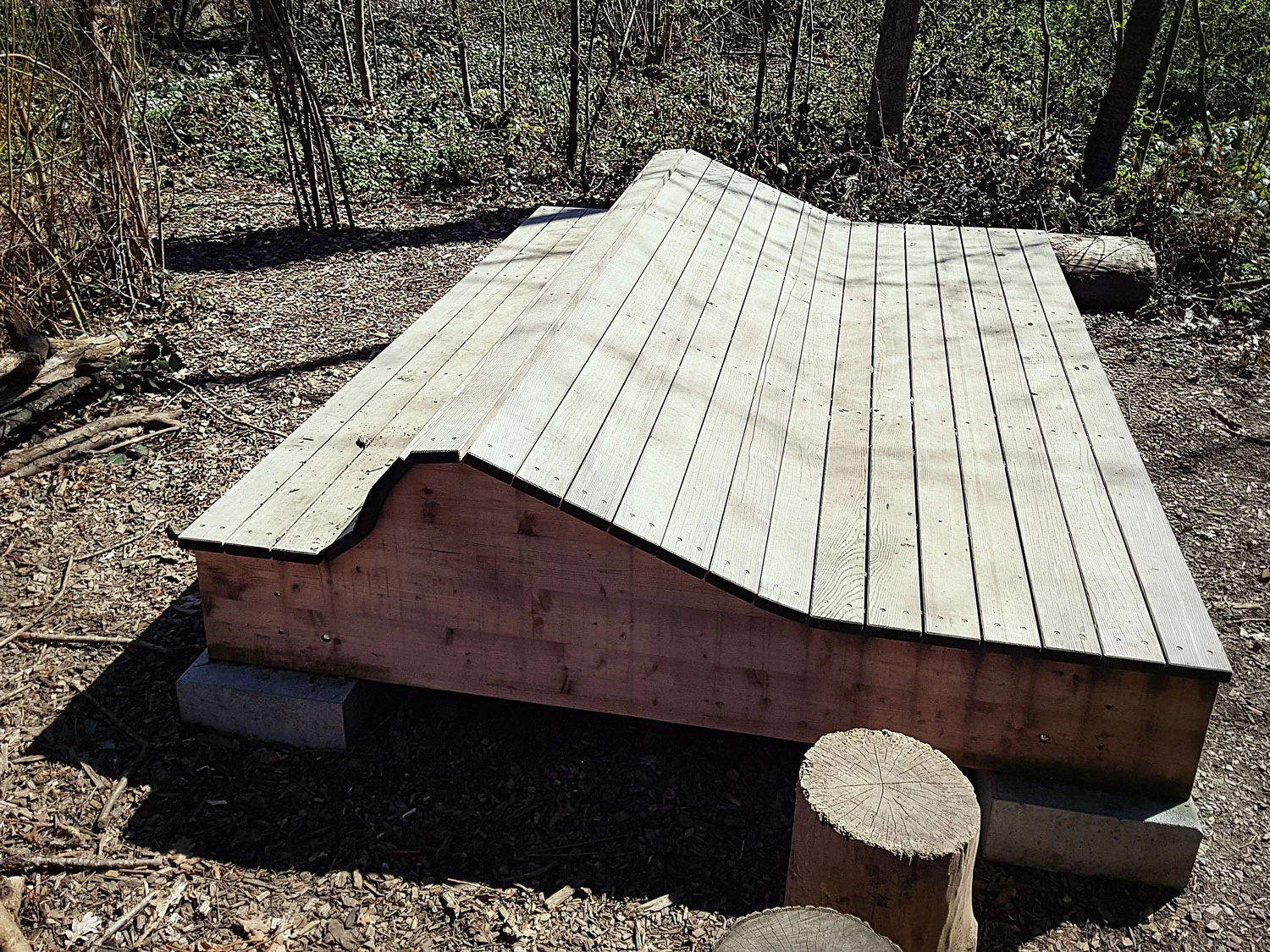 Renaturaliseierungsprojek