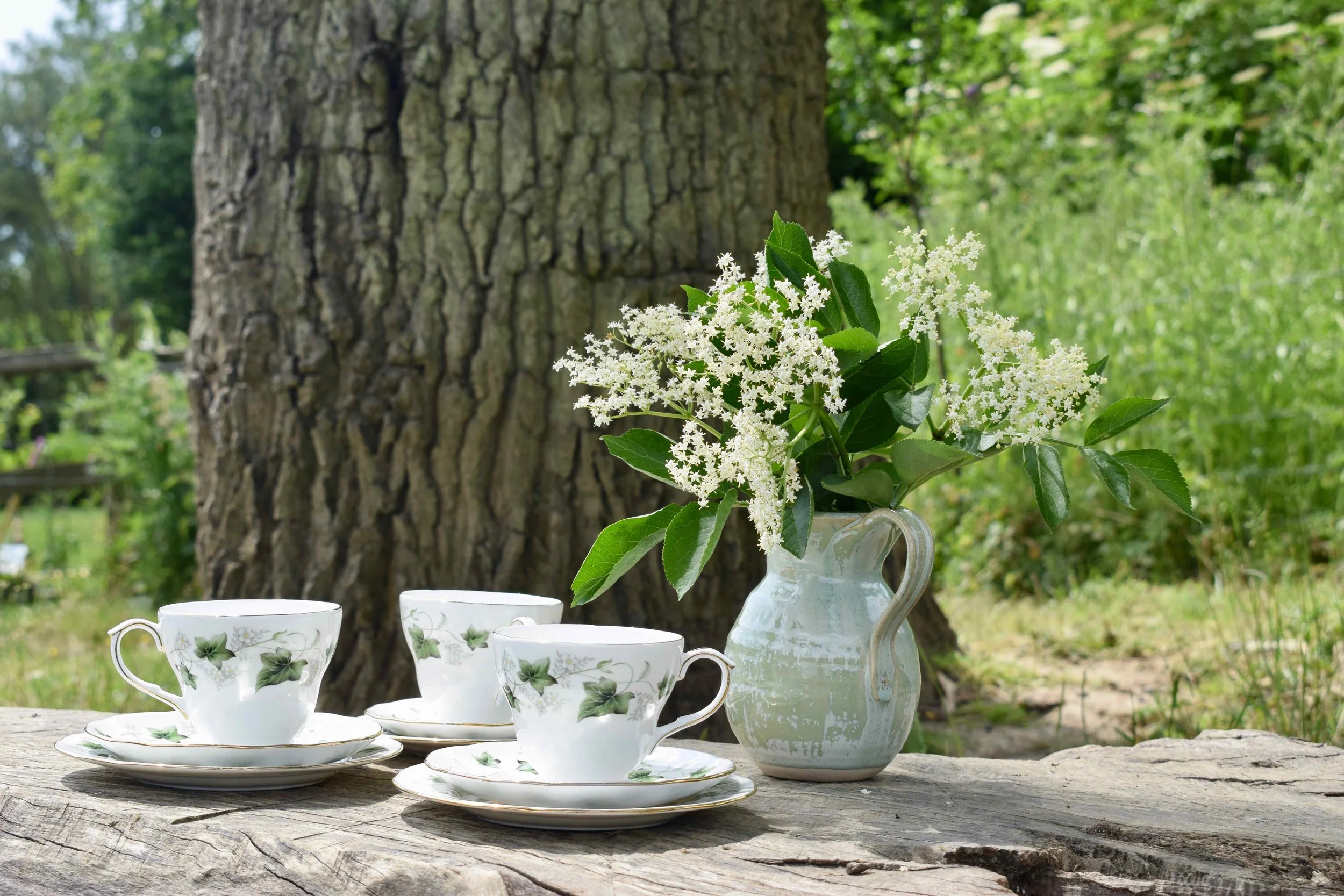 Ivy Teacups