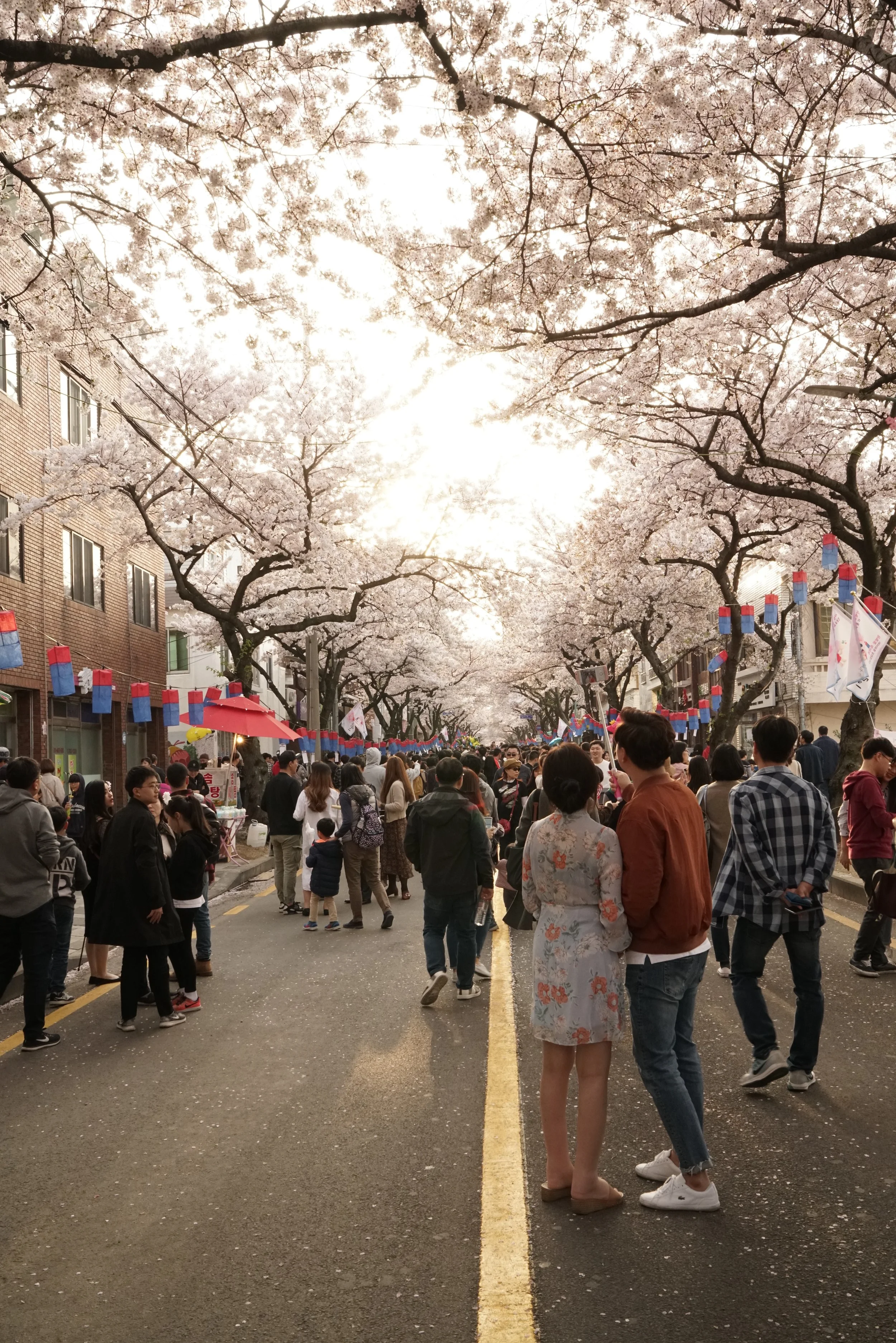 Spring and they