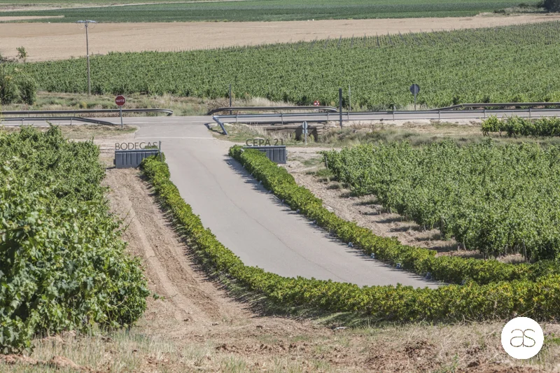 Como han vivido su boda...Laura y Raúl