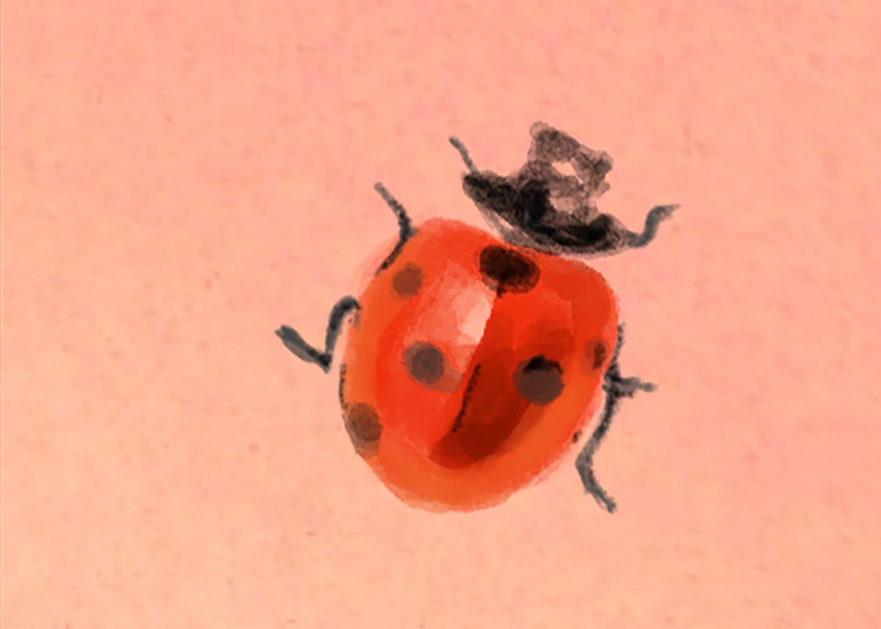 EmilieSimon-01.jpg