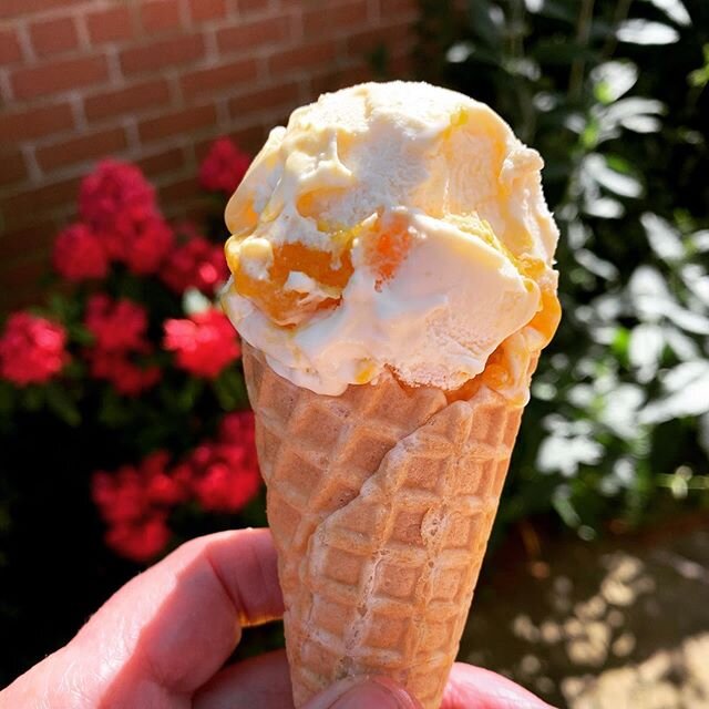 Here&rsquo;s my #lockdowntip from yesterday - make your own Solero, being put to good use. 😋☀️🍦#Solero #lockdowntreat #makeyourown #moneysavingtips #lockdown2020 #winwin #lizbabbsbakes