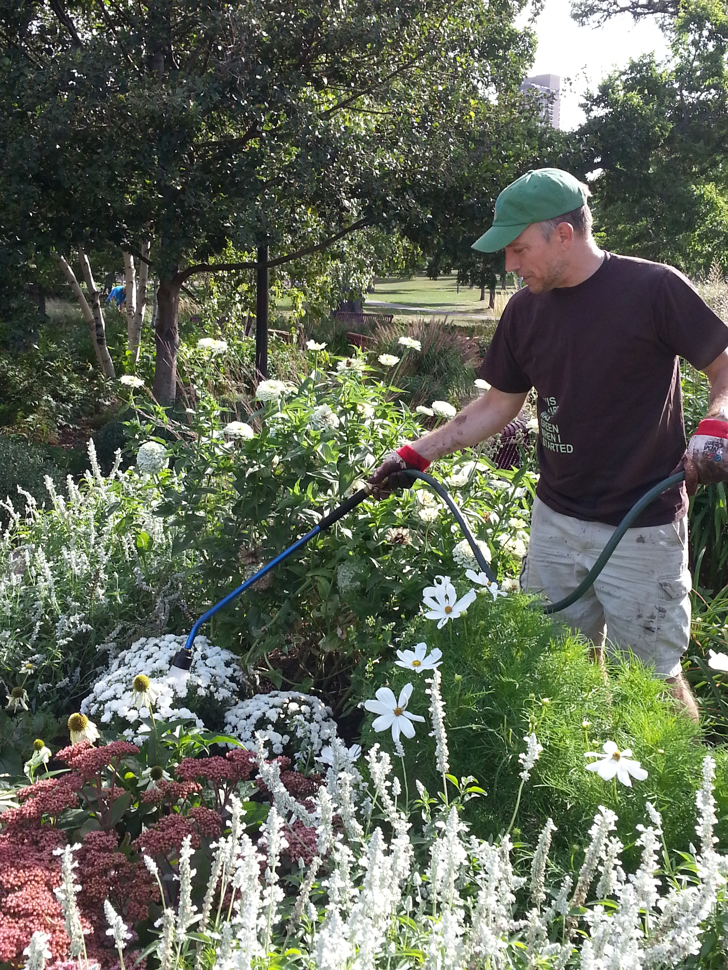 Saturday Gardening! 