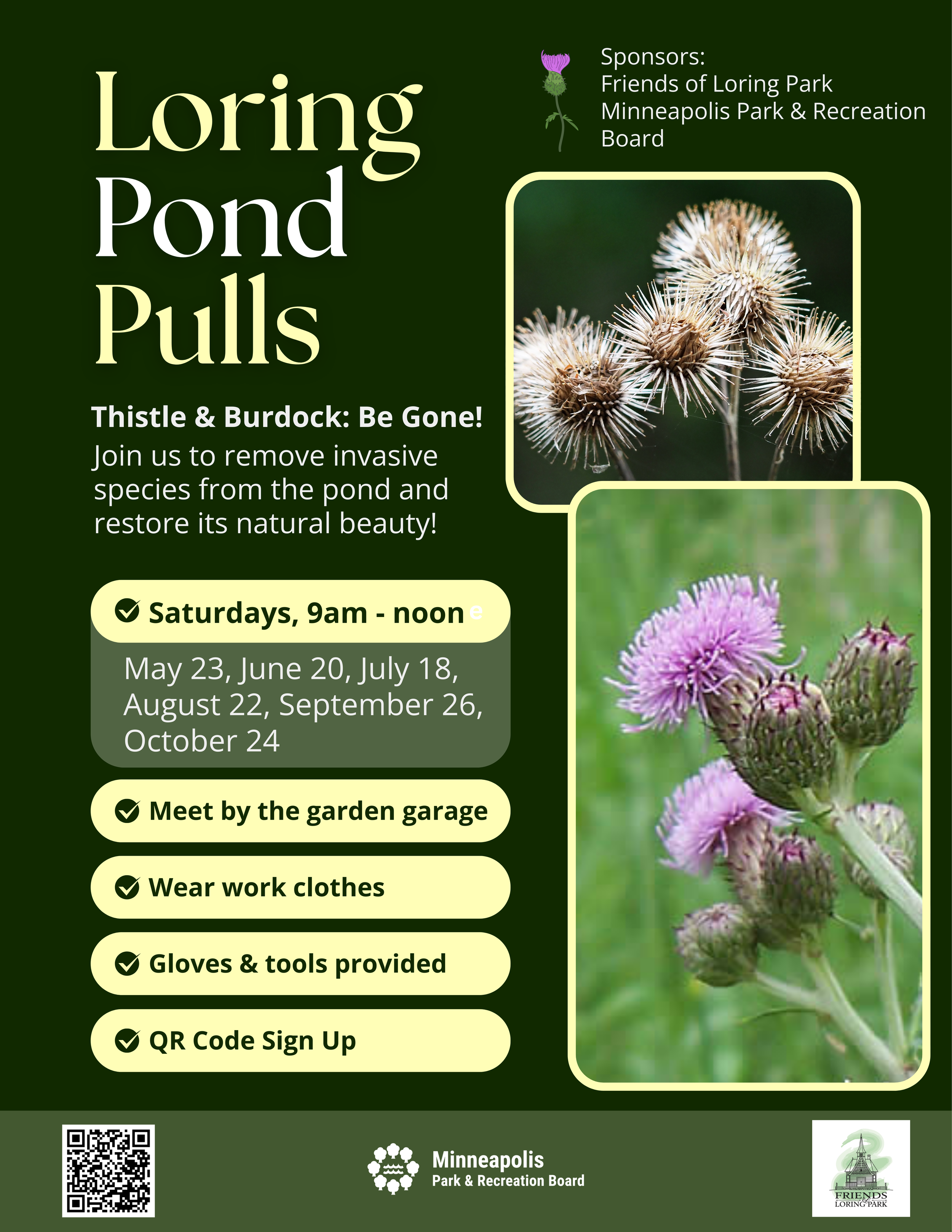 2026 Loring Pond Invasives (1).png