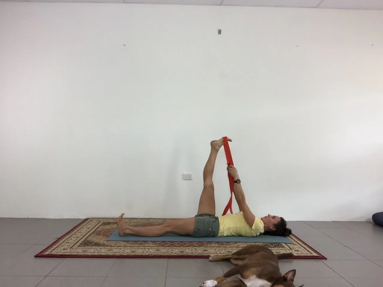 Practice Point #9 - Yoga for Tight Hamstrings