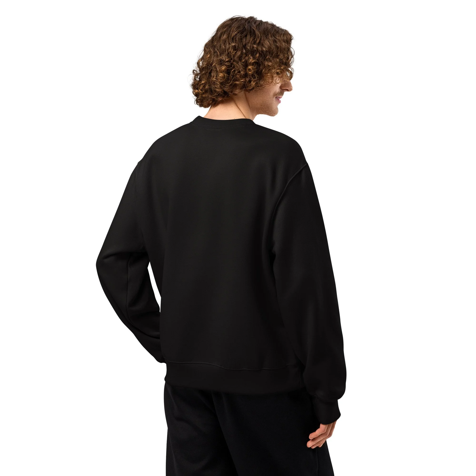 unisex-oversized-heavyweight-sweatshirt-black-back-6890fefad7684.jpg