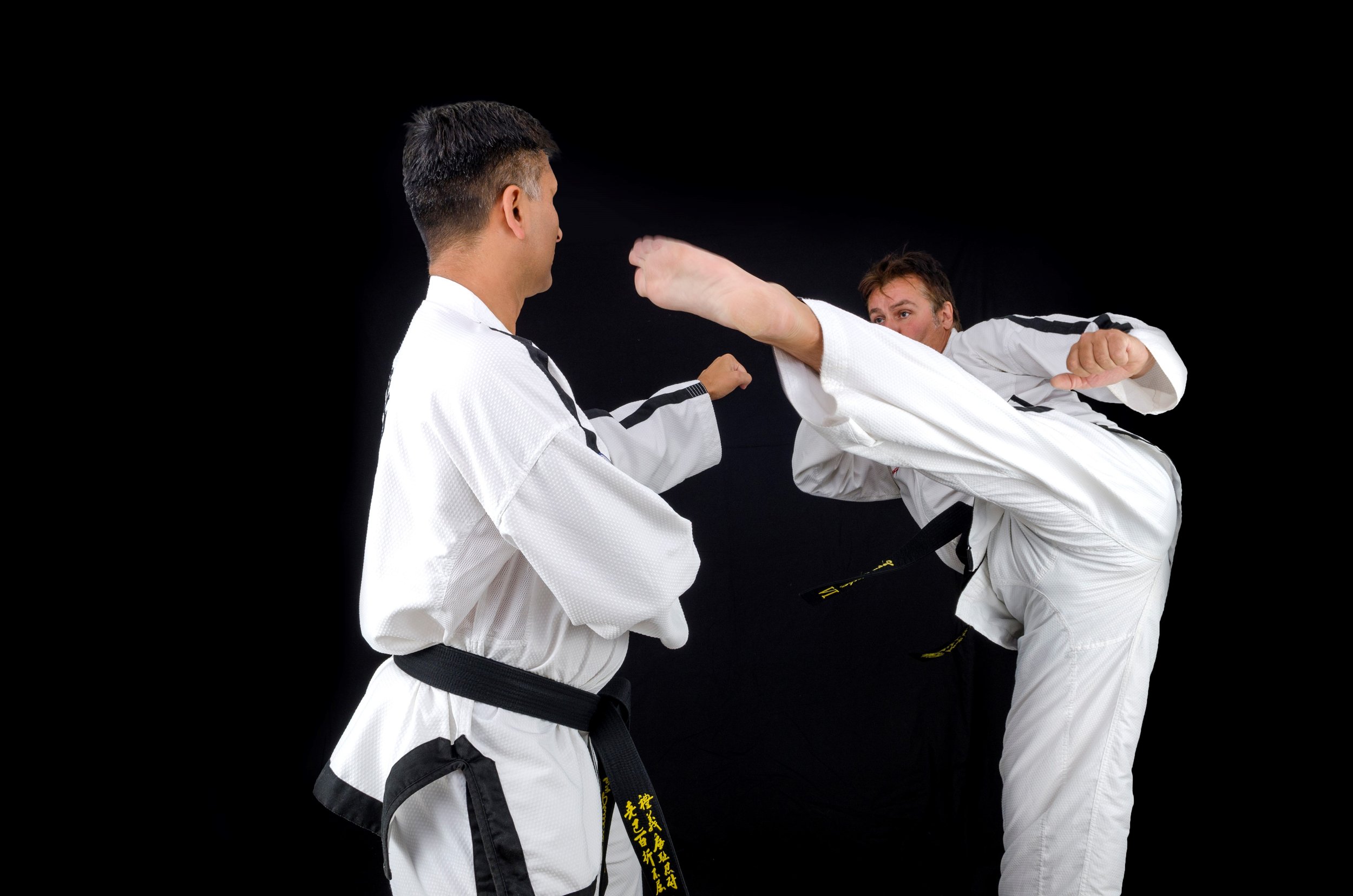 JA Turning kick.jpeg