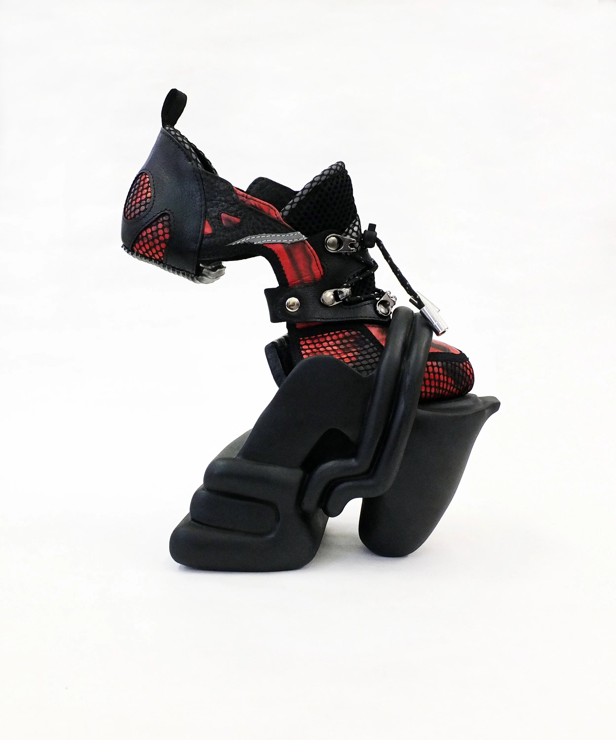    Look_04    Finished Shoe 