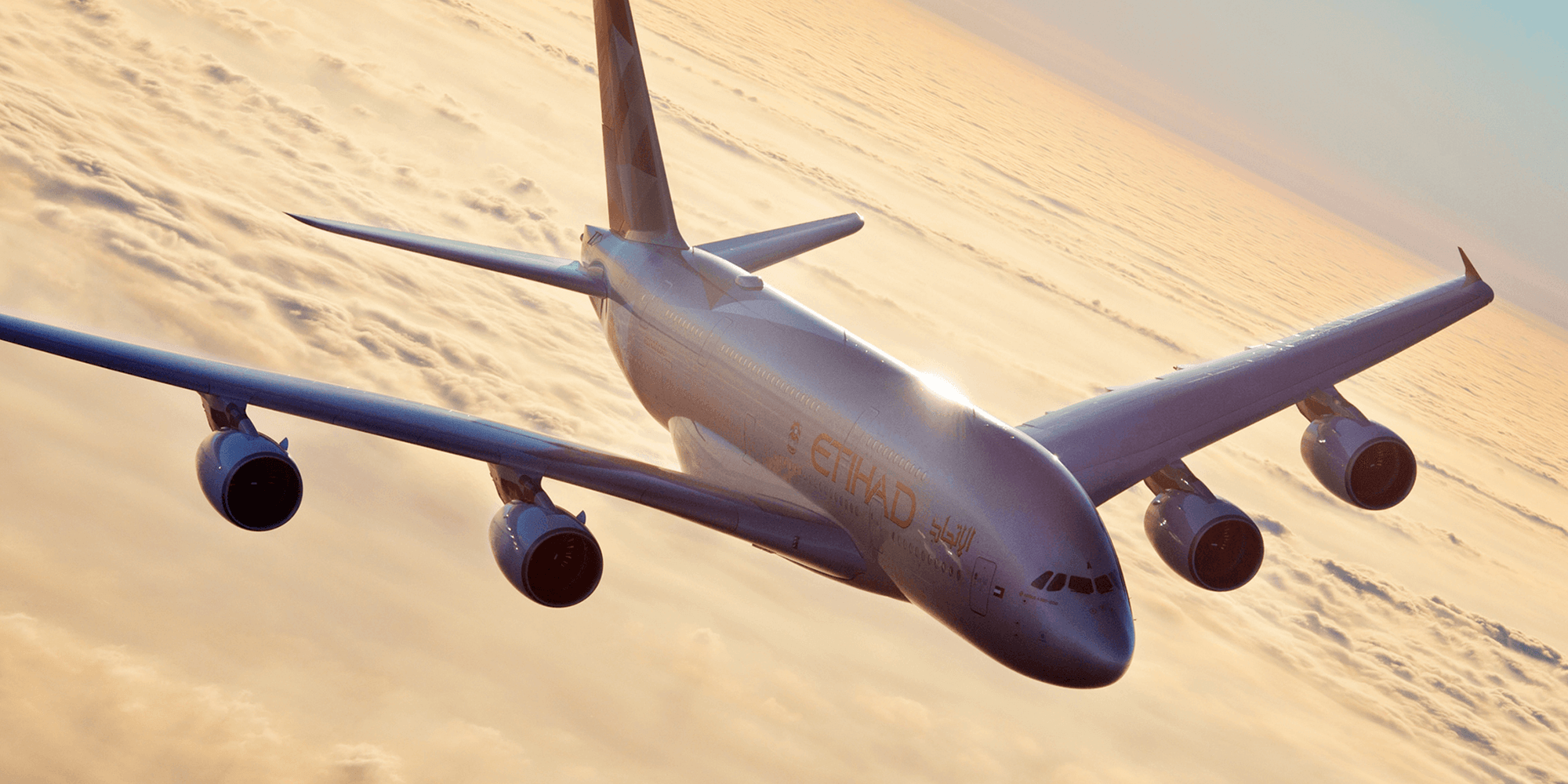 Artboard 1 copy 6.png