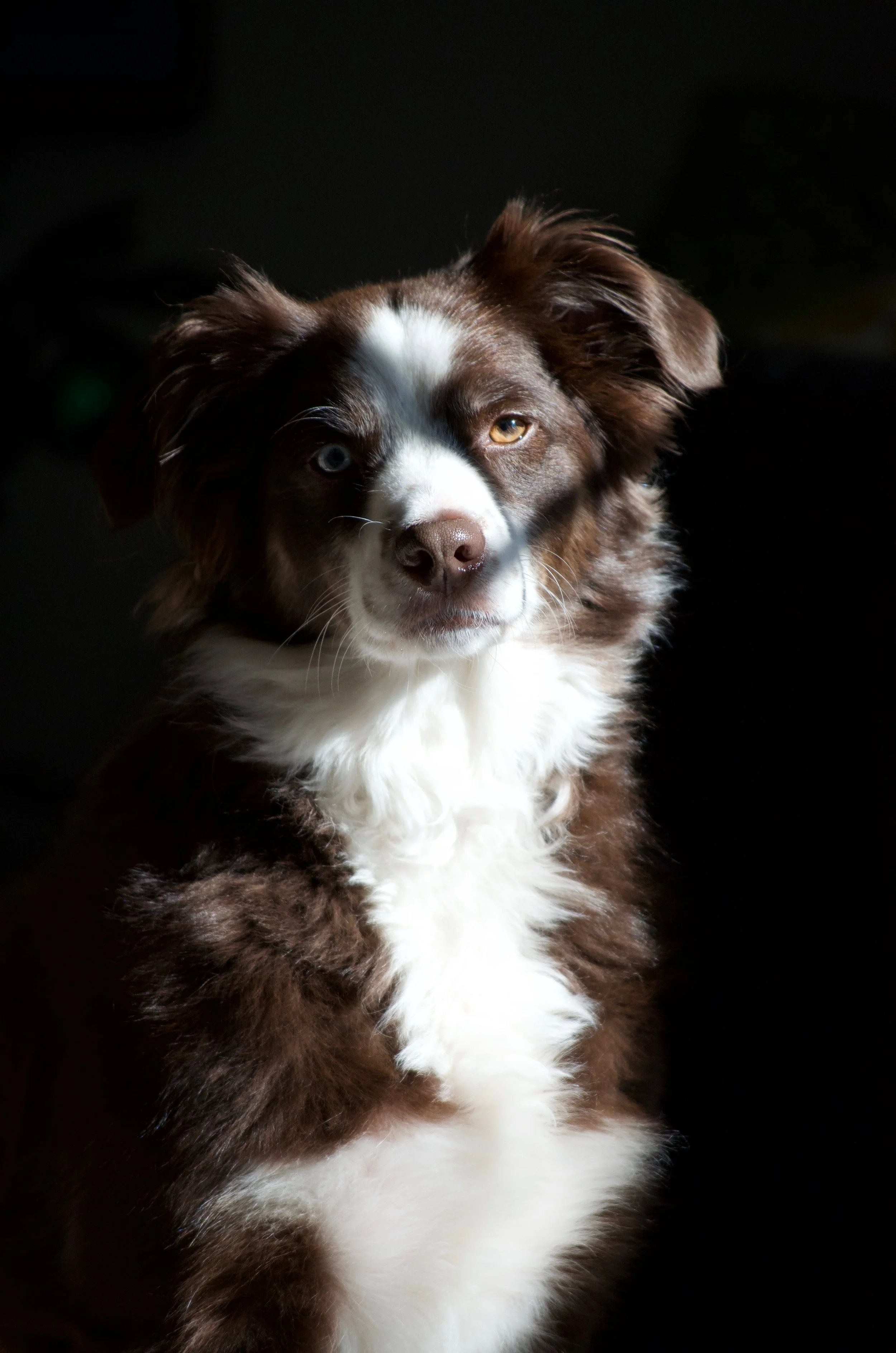 Cooper