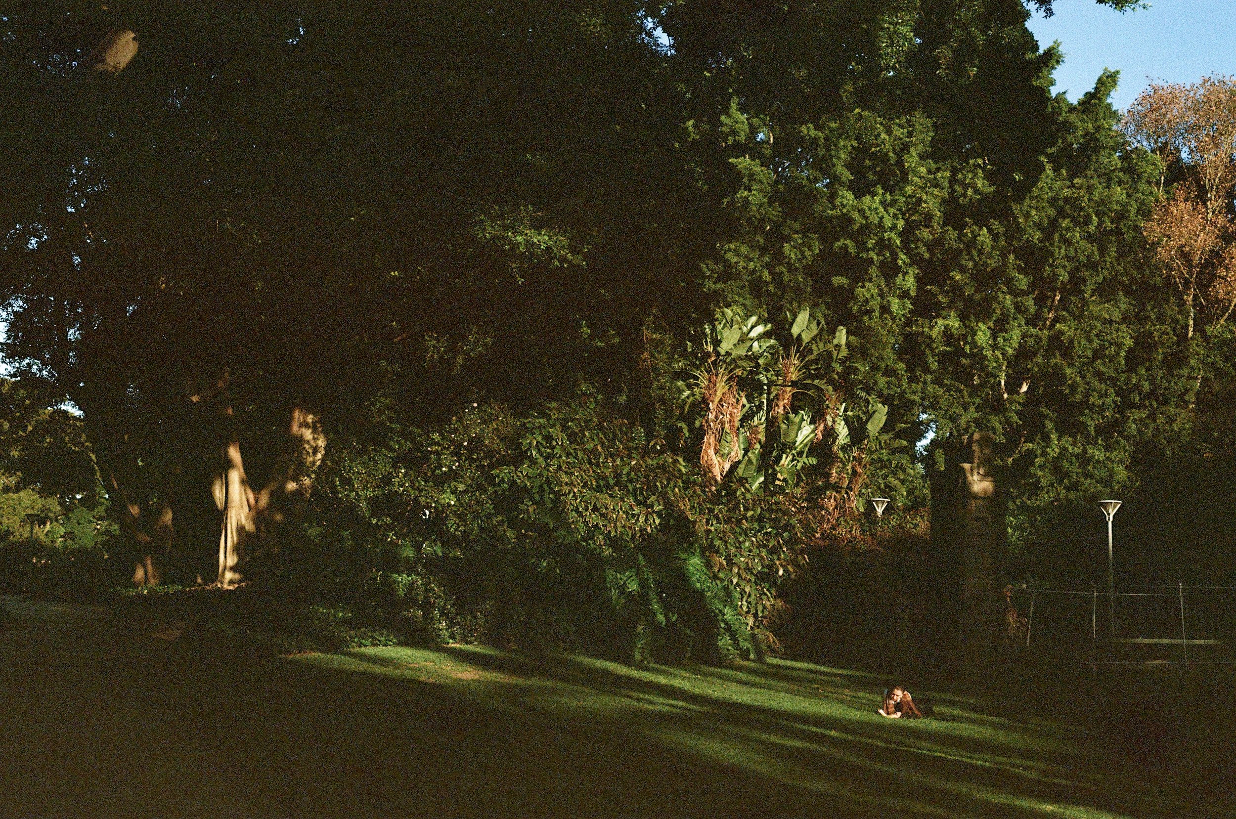 Hyde Park, Sydney