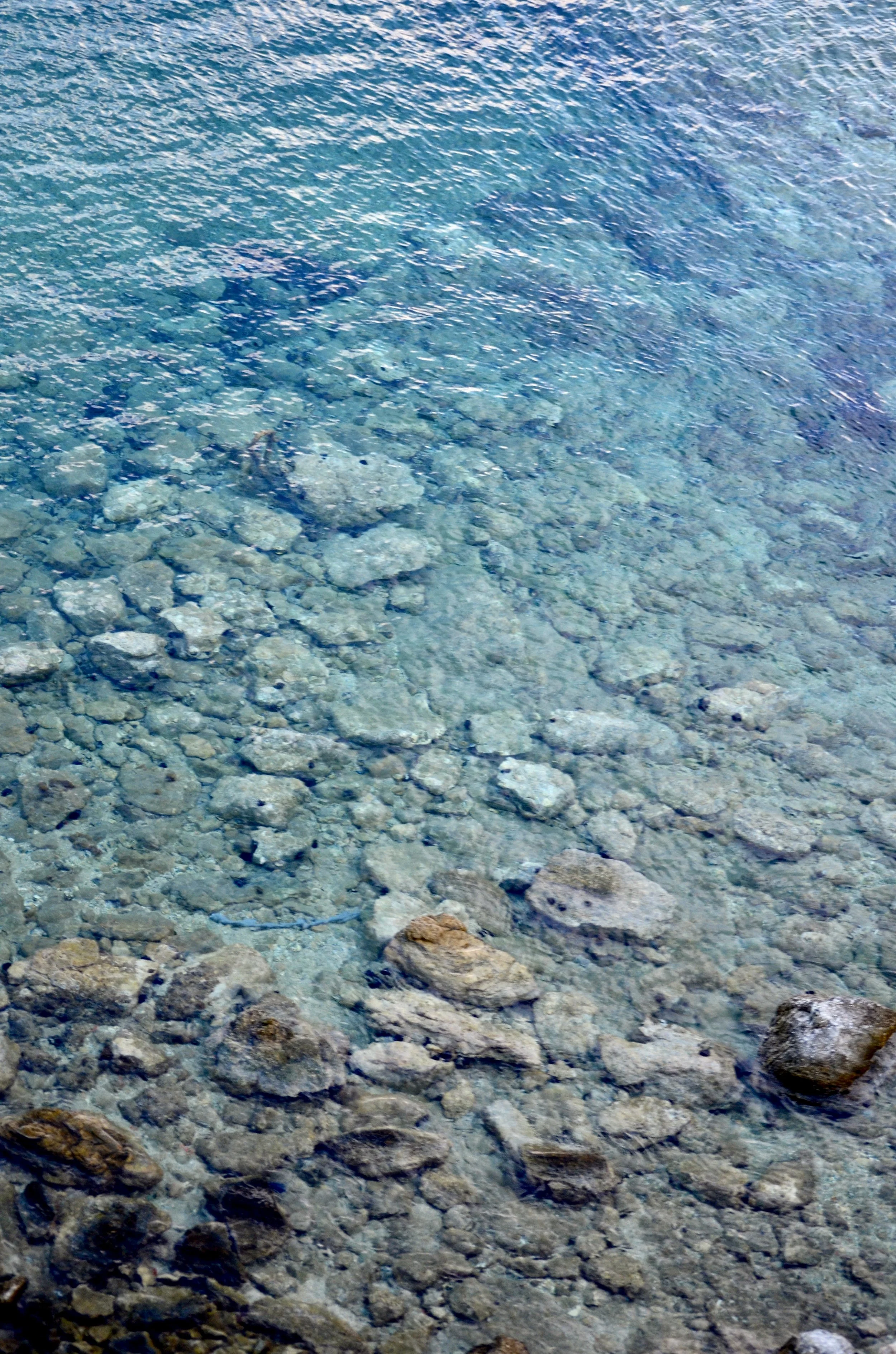 DSC_0257.JPG