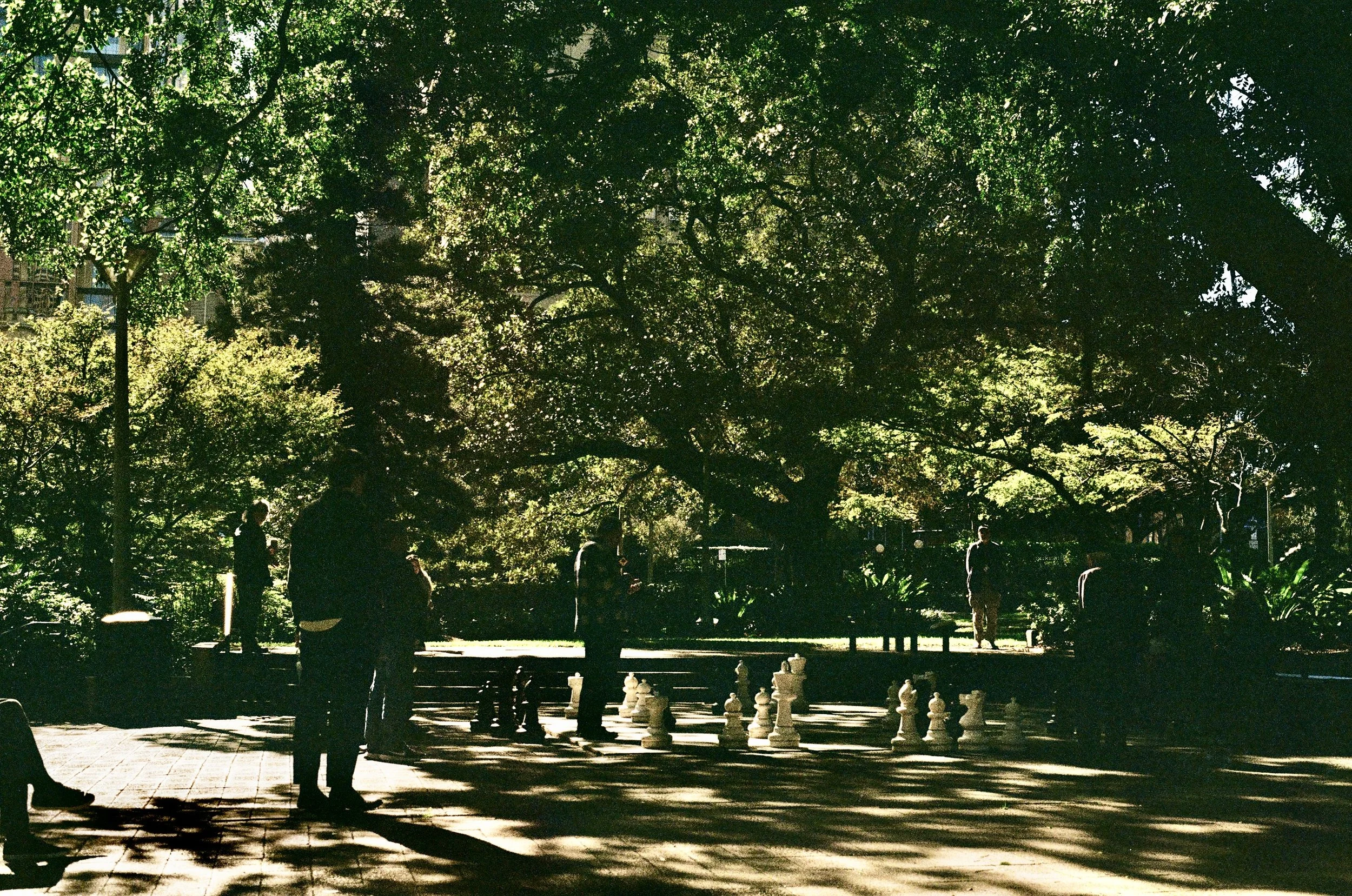 Chess in the park, Sydney