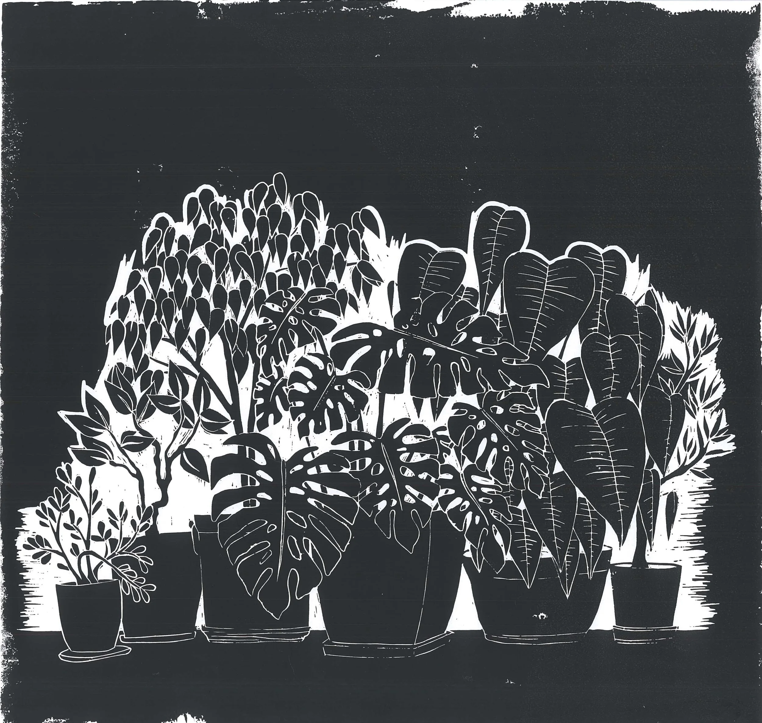 image1.jpeg