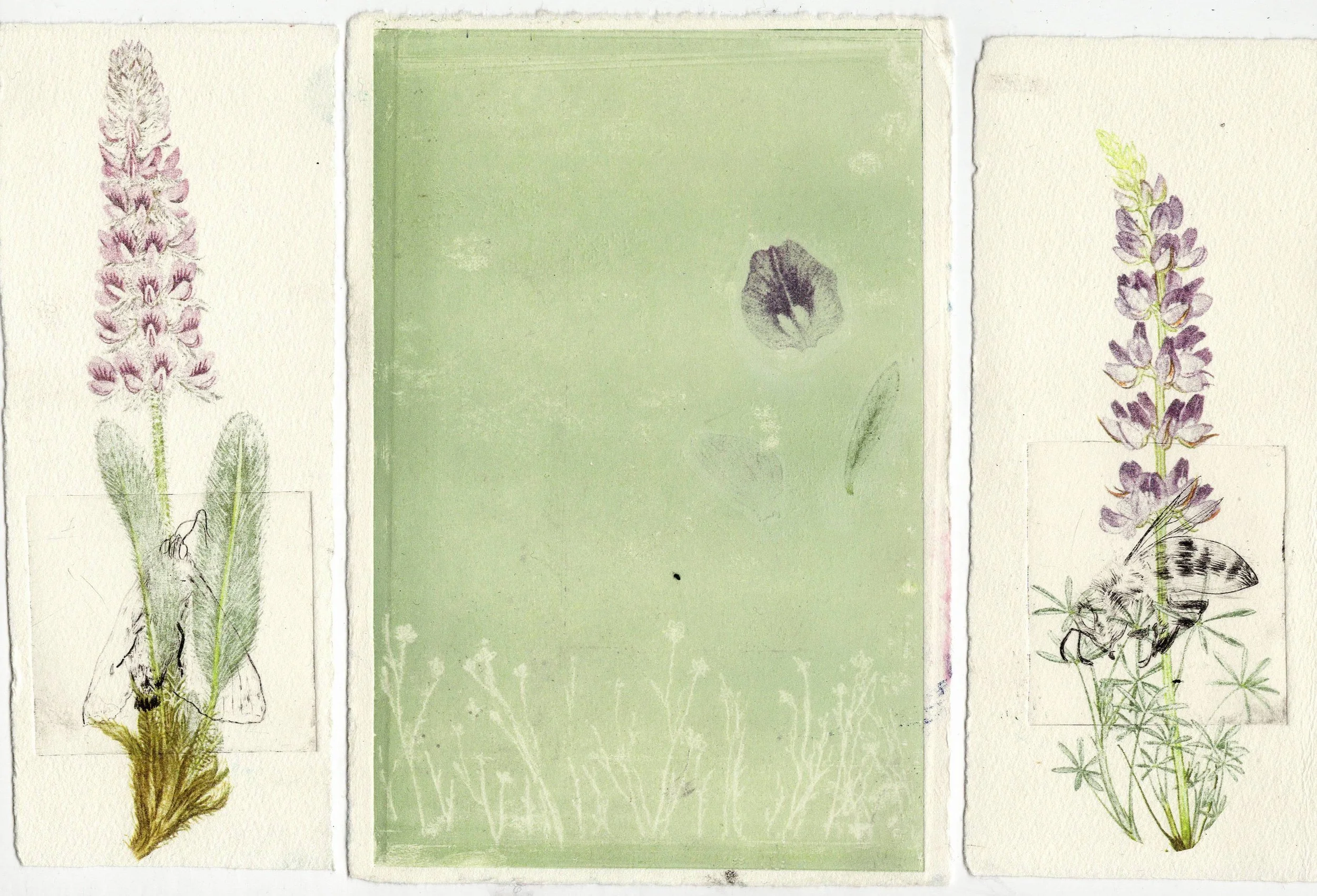 Celine Cheung - Cheung_1_Faded Triptych.JPG