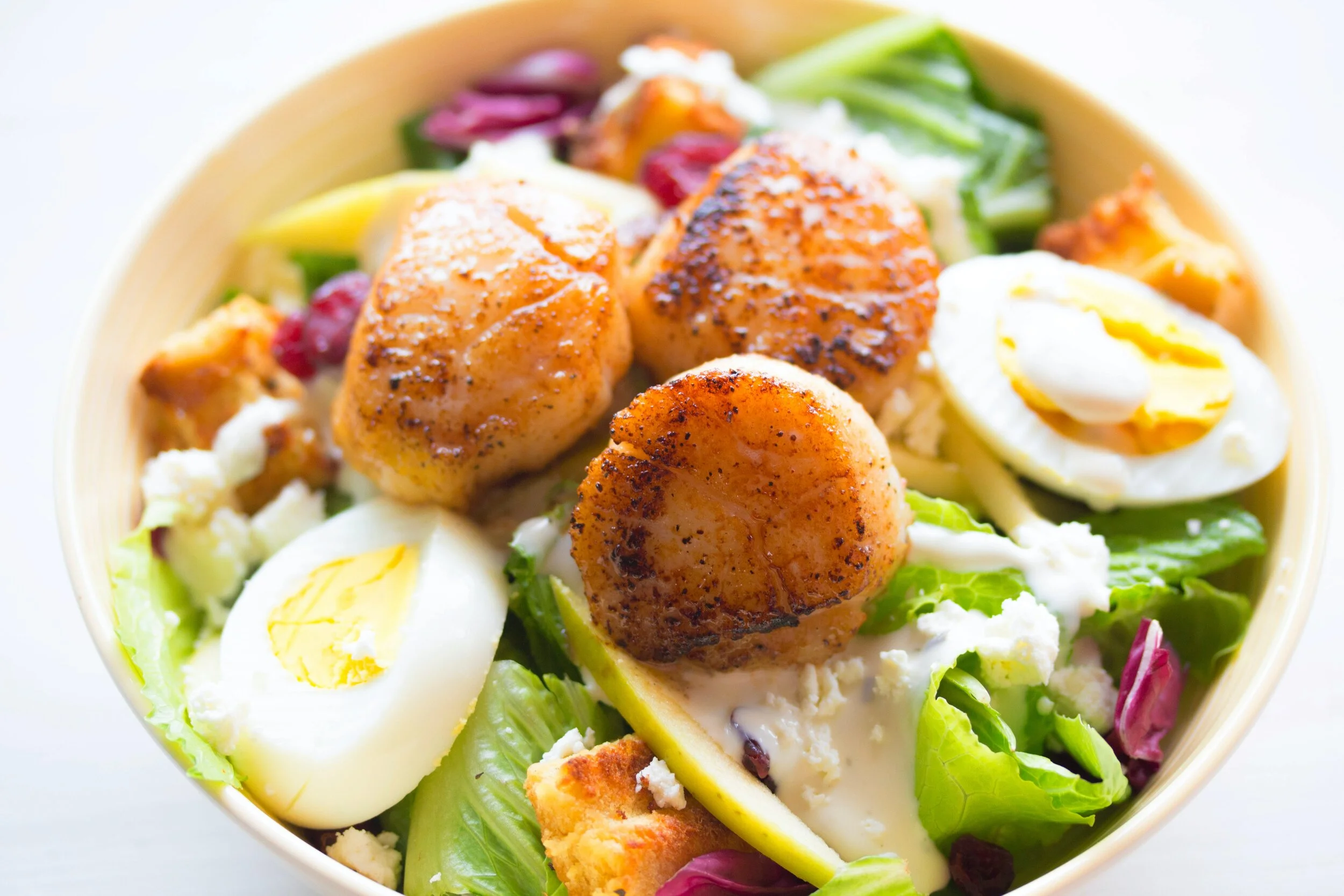 The Purpose of Prioritizing Protein