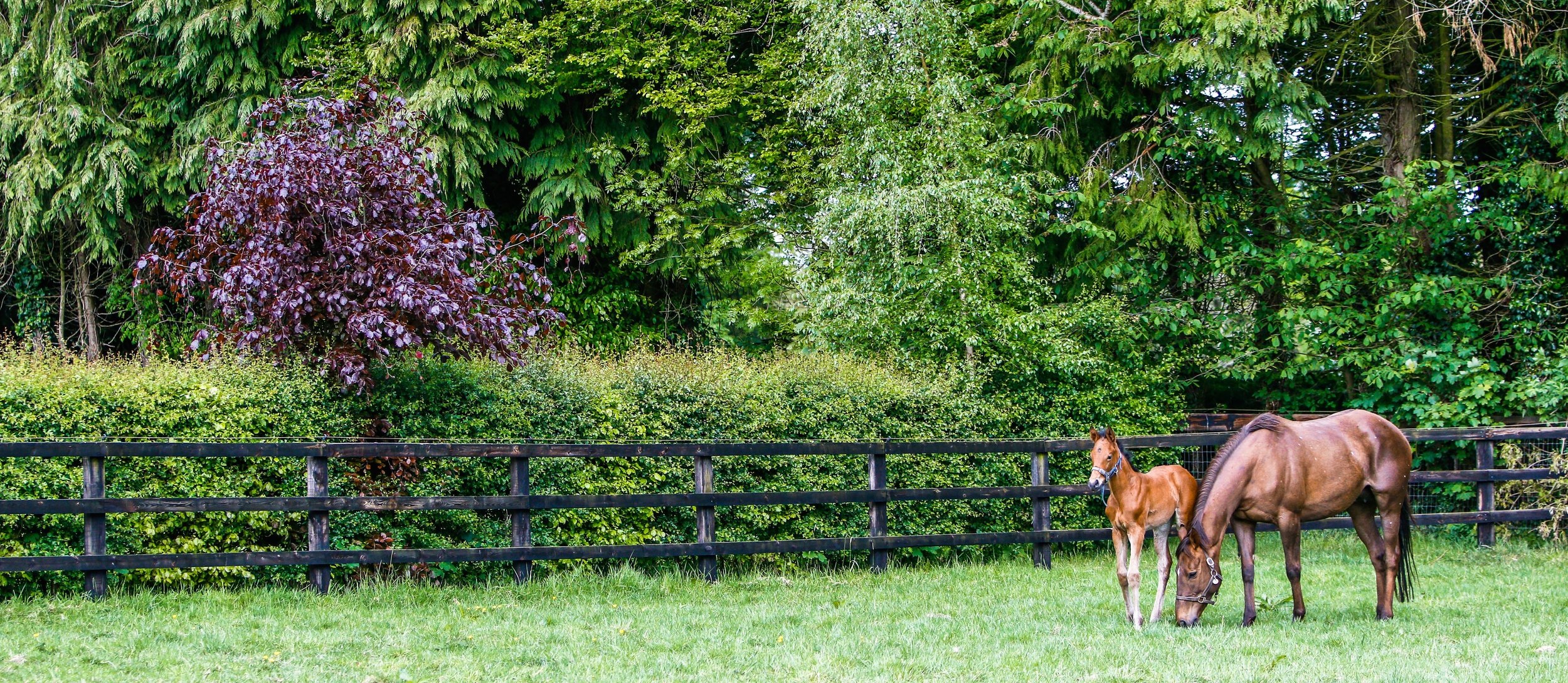 A long established farm steeped in history